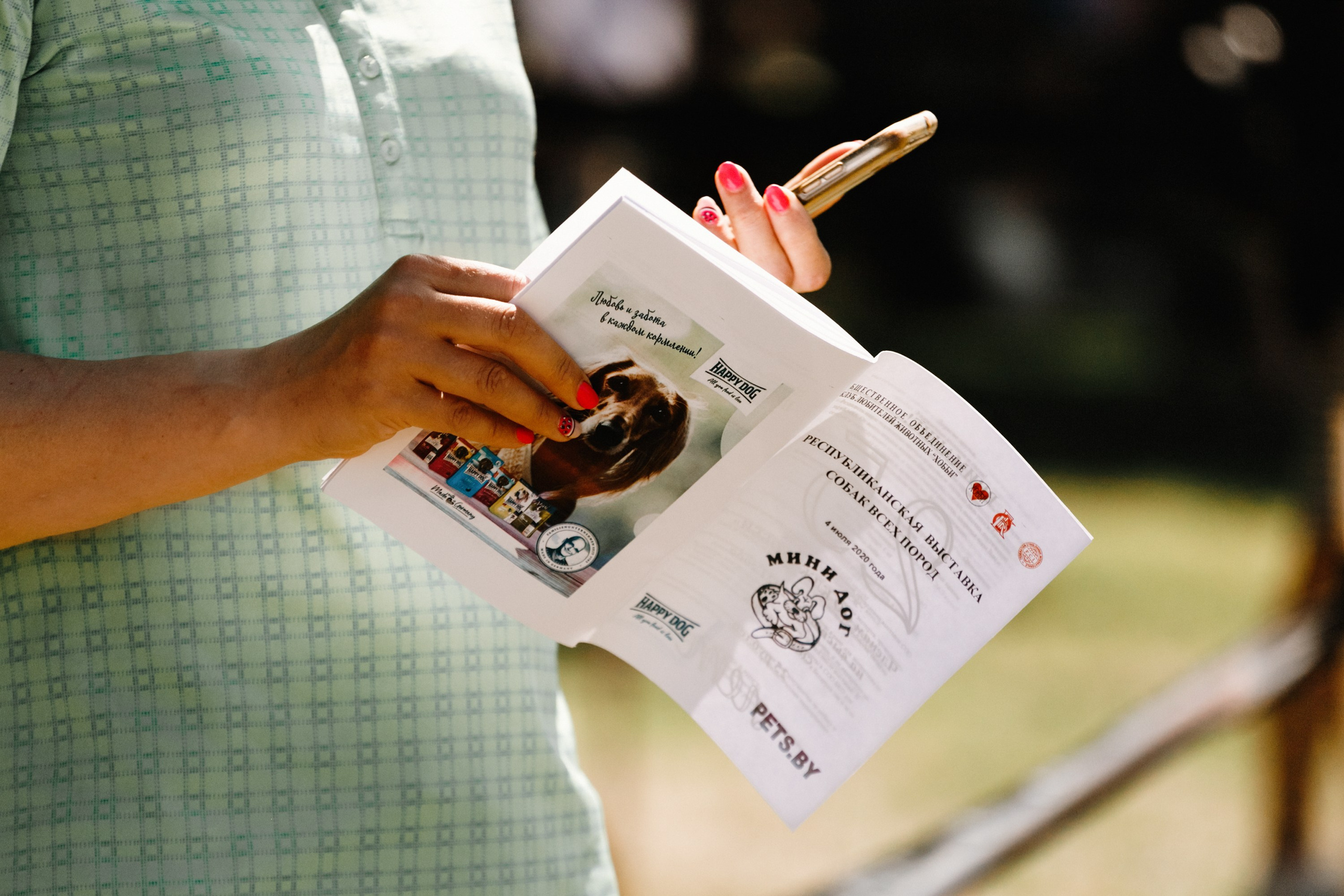 Dog shows | the best ones. Kaja | fotograf psów we Wrocławiu