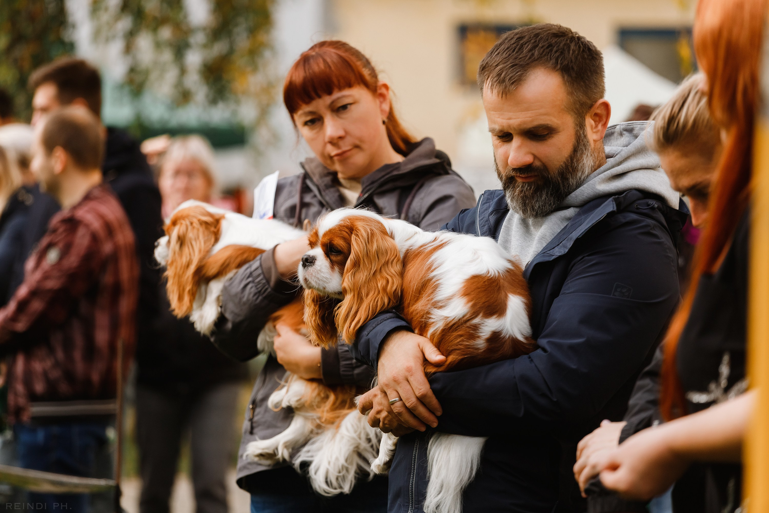 «Argus» dog show in Brest. Kaja | fotograf we Wrocławiu | ludzie i psy