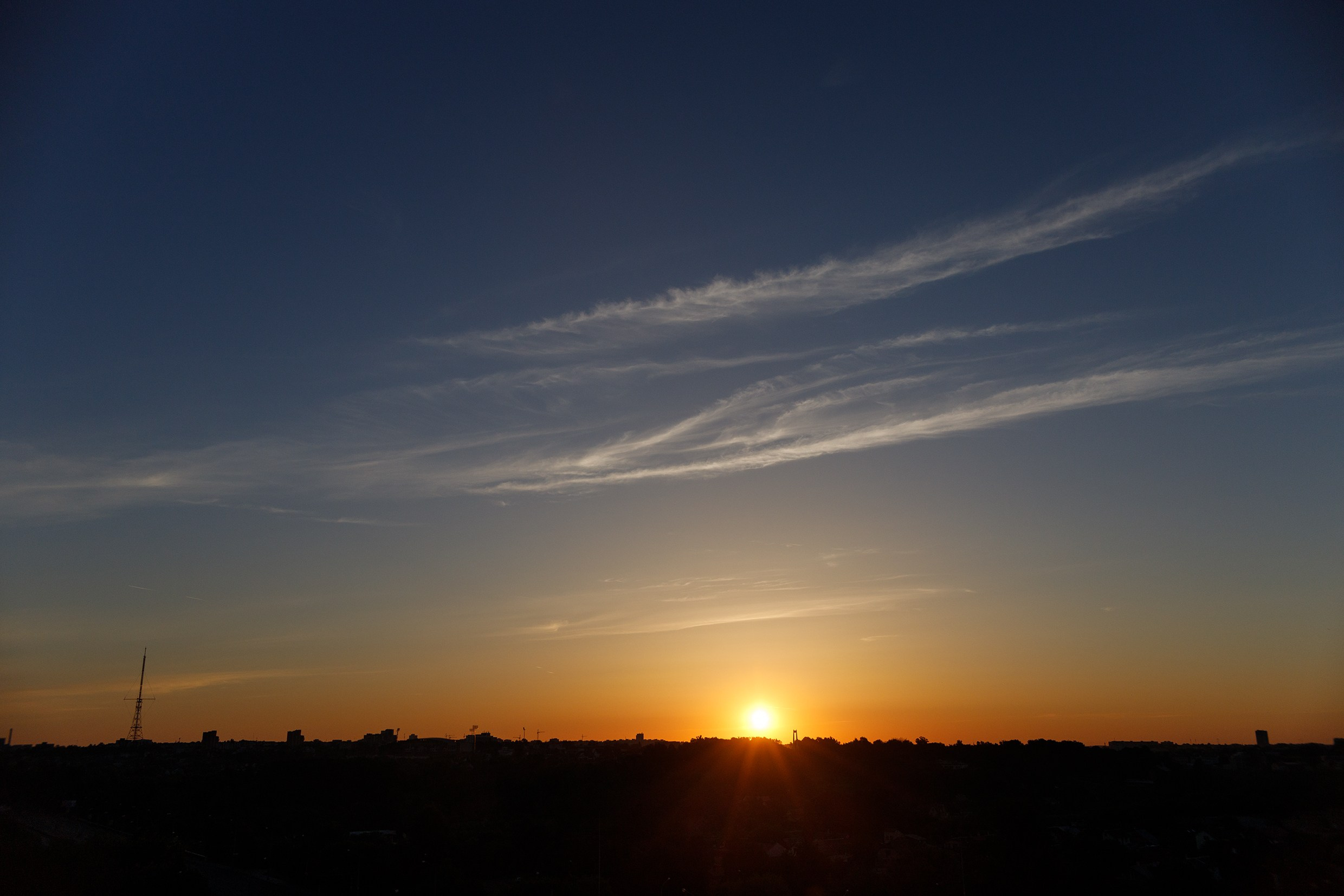 Grodno. Kaja | fotograf we Wrocławiu | ludzie i psy