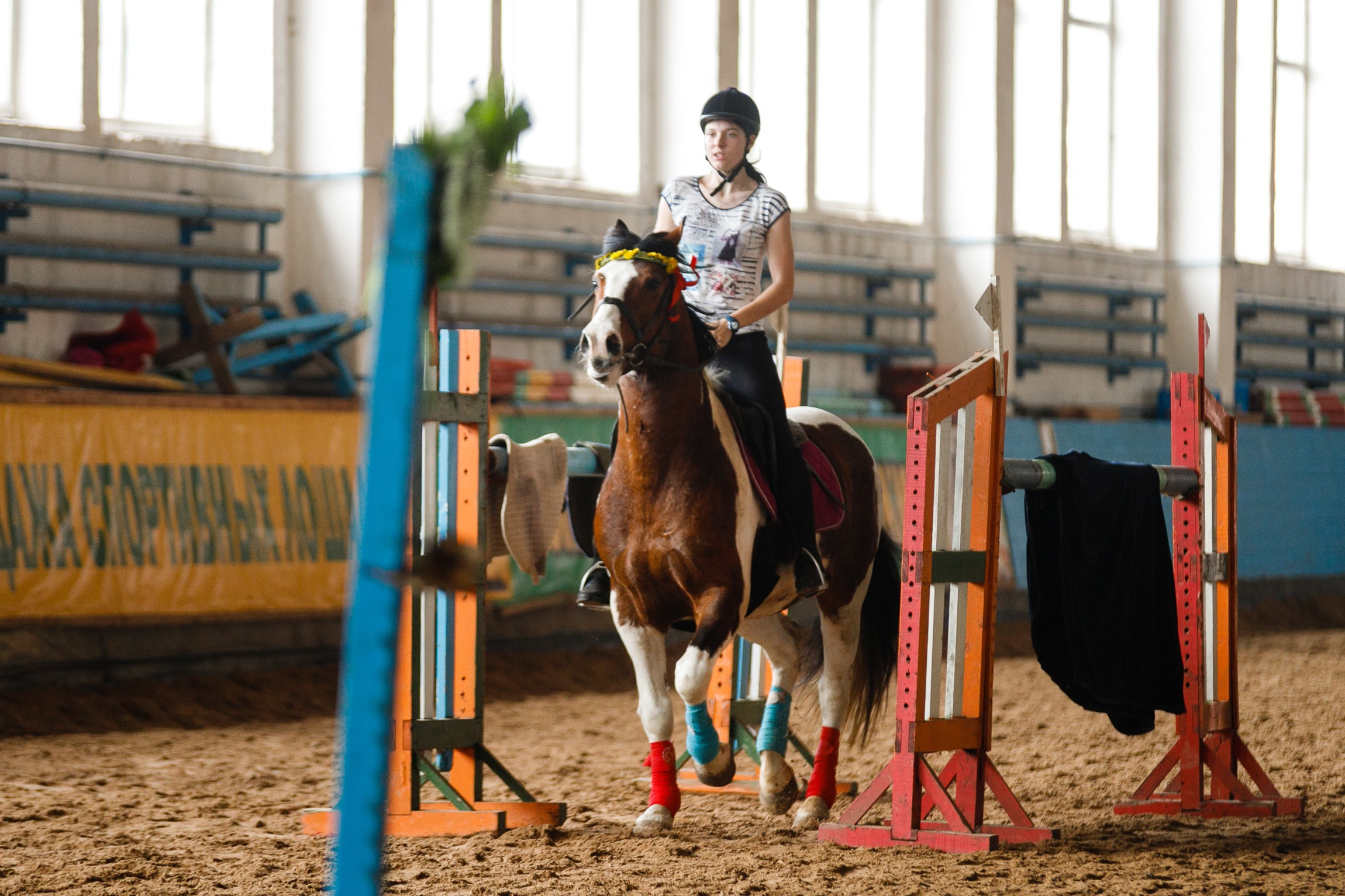 Horse winter games. Kaja | fotograf we Wrocławiu | ludzie i psy