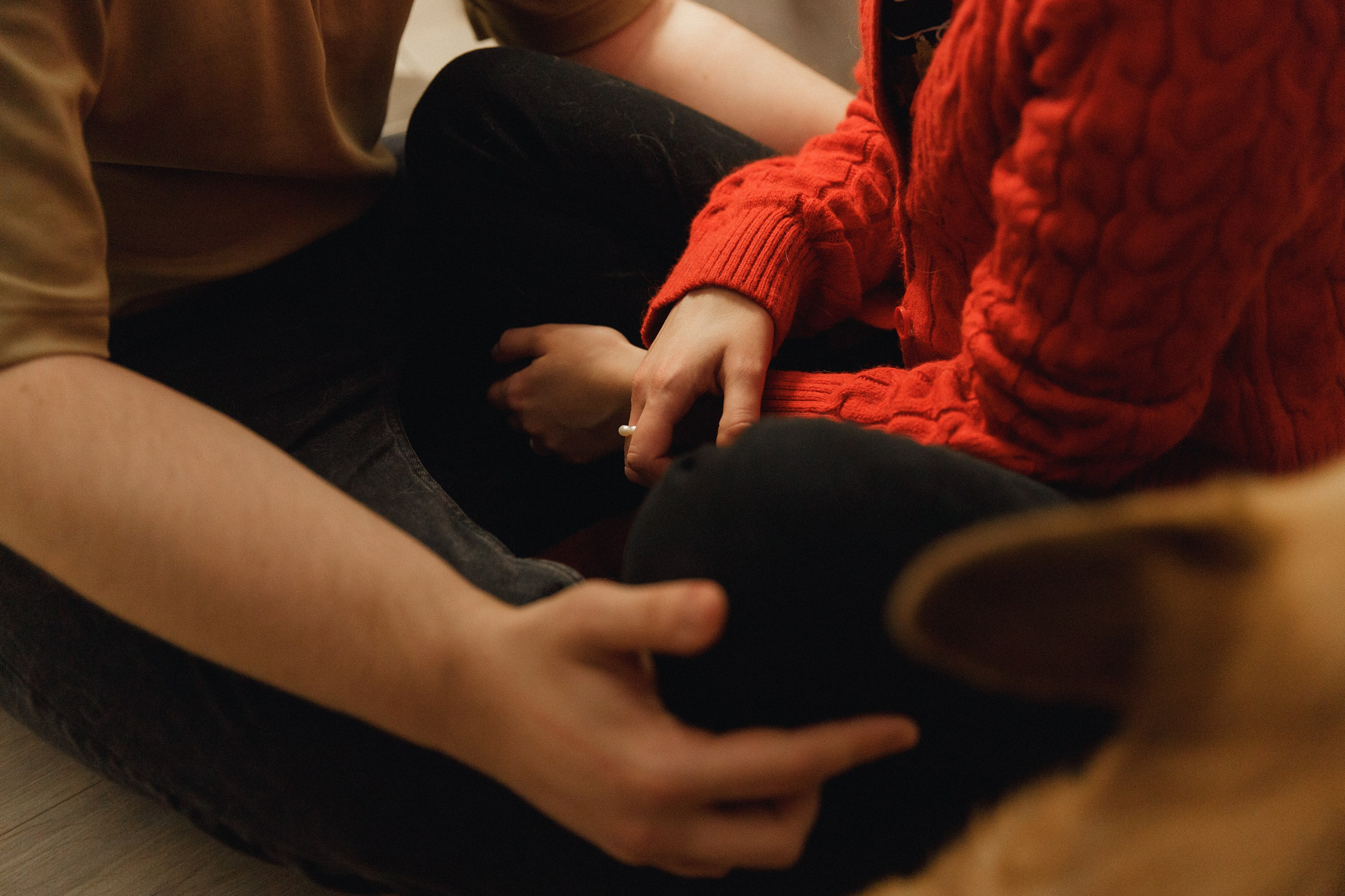 Dasha & Daisy. Kaja | fotograf psów we Wrocławiu