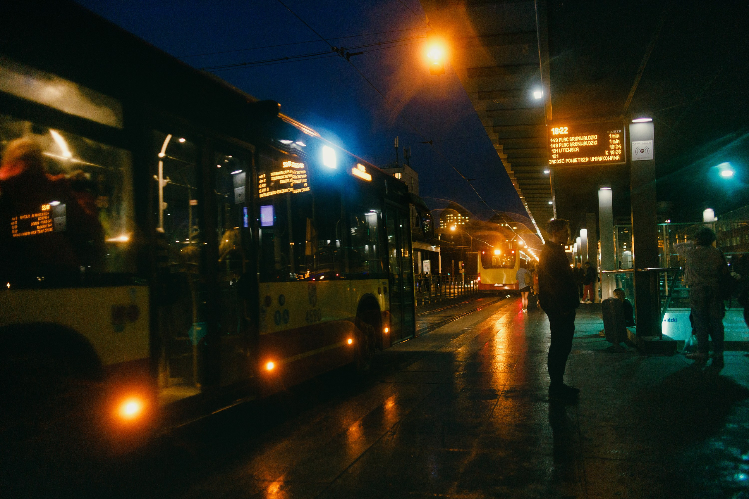 Night rainy Wroclaw. Kaja | fotograf psów we Wrocławiu