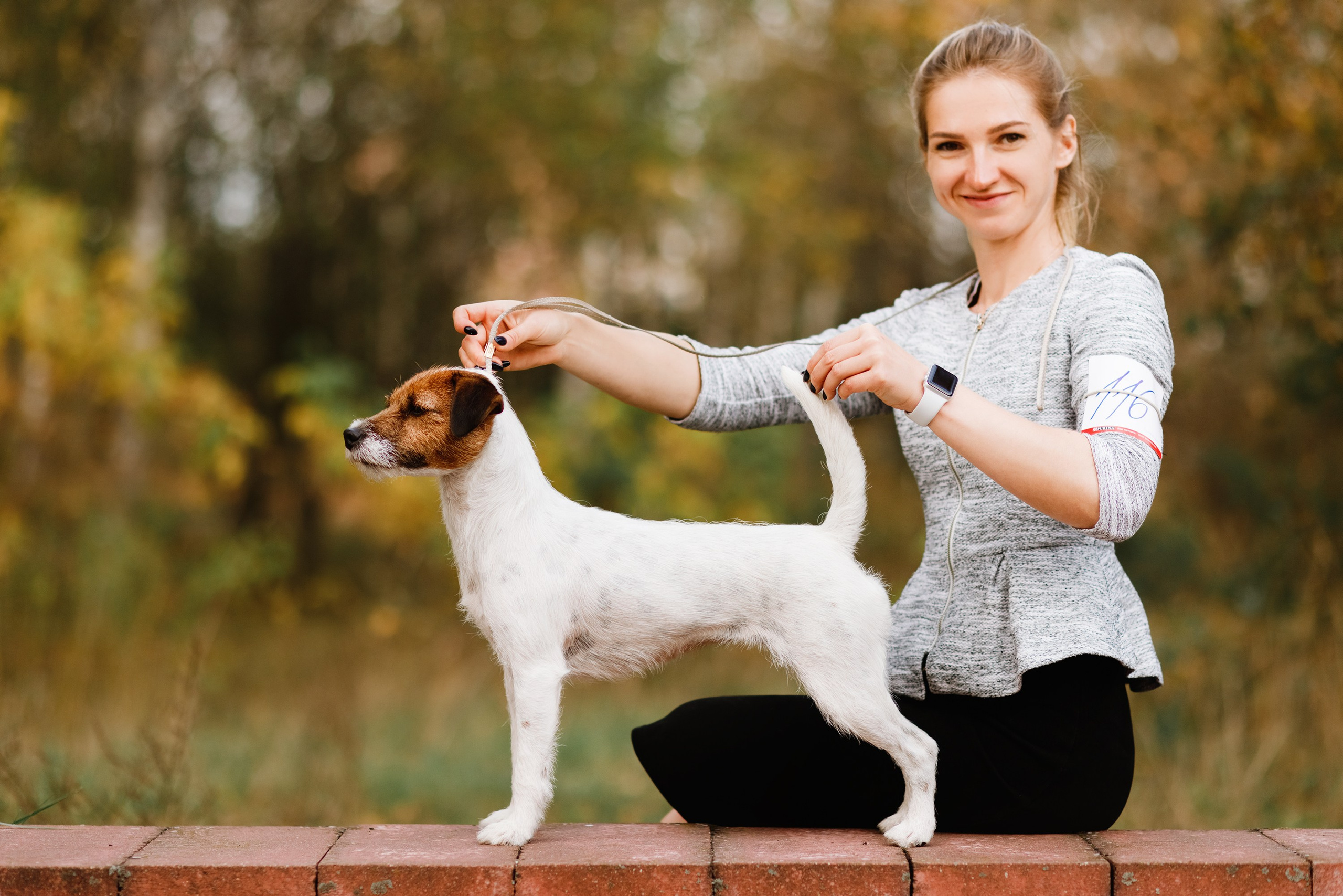 Dog shows | the best ones. Kaja | fotograf psów we Wrocławiu