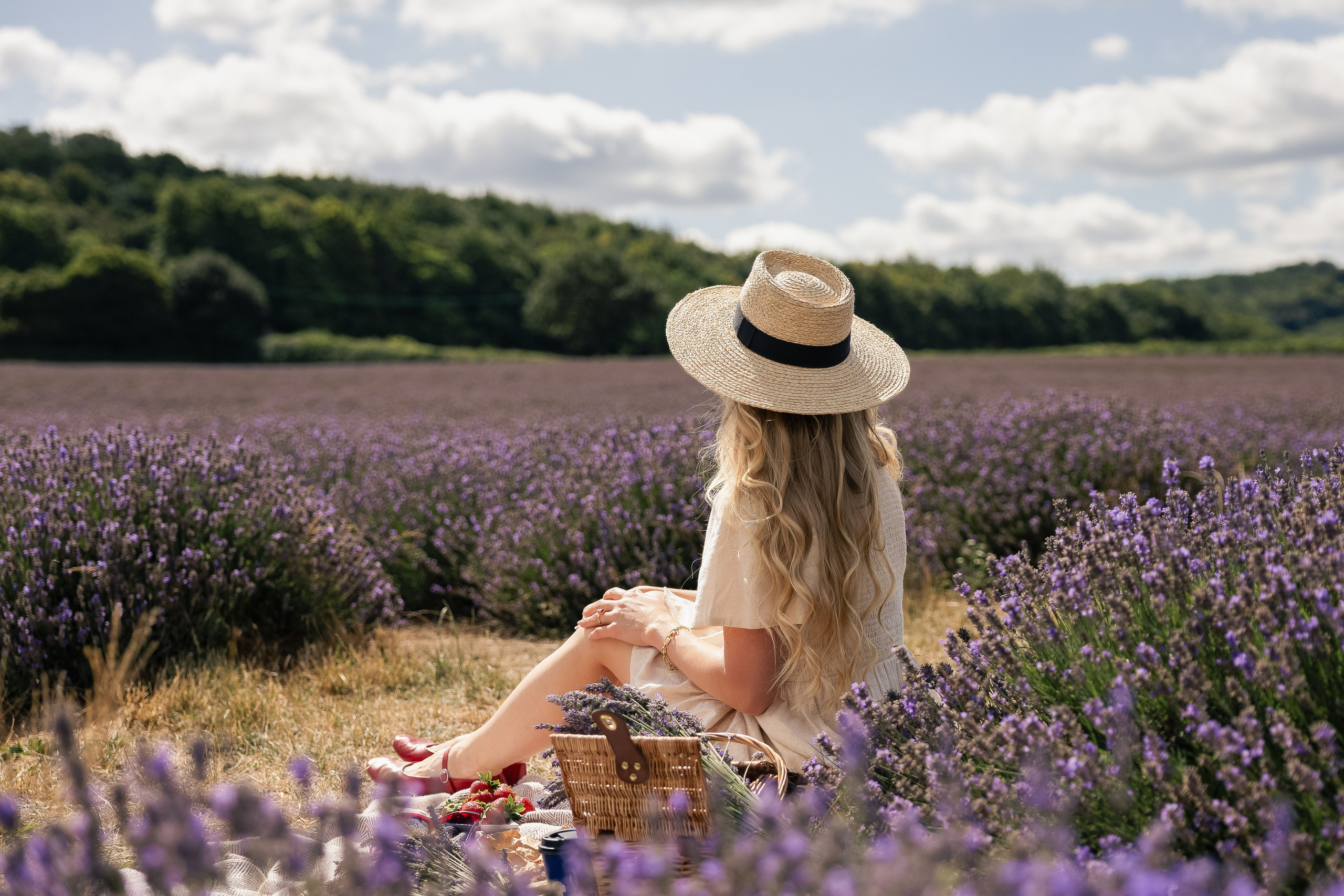 Lavender Picnics. PHOTOGRAPHER IN LONDON