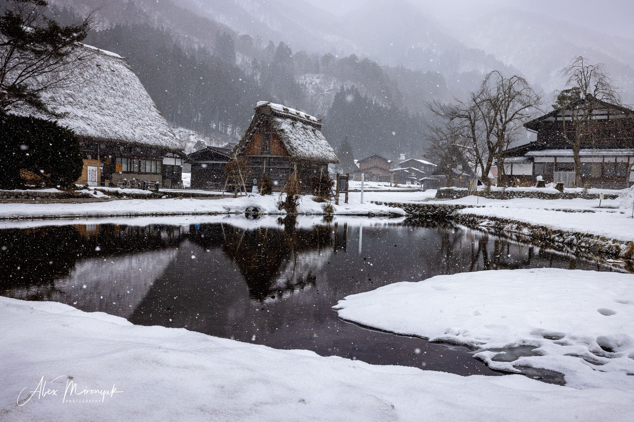 Winter Japan: Snow Monkeys, Castles & Timeless Villages. Pet, Senior, Landscape, portrait studio, photographer in Miami and Sou