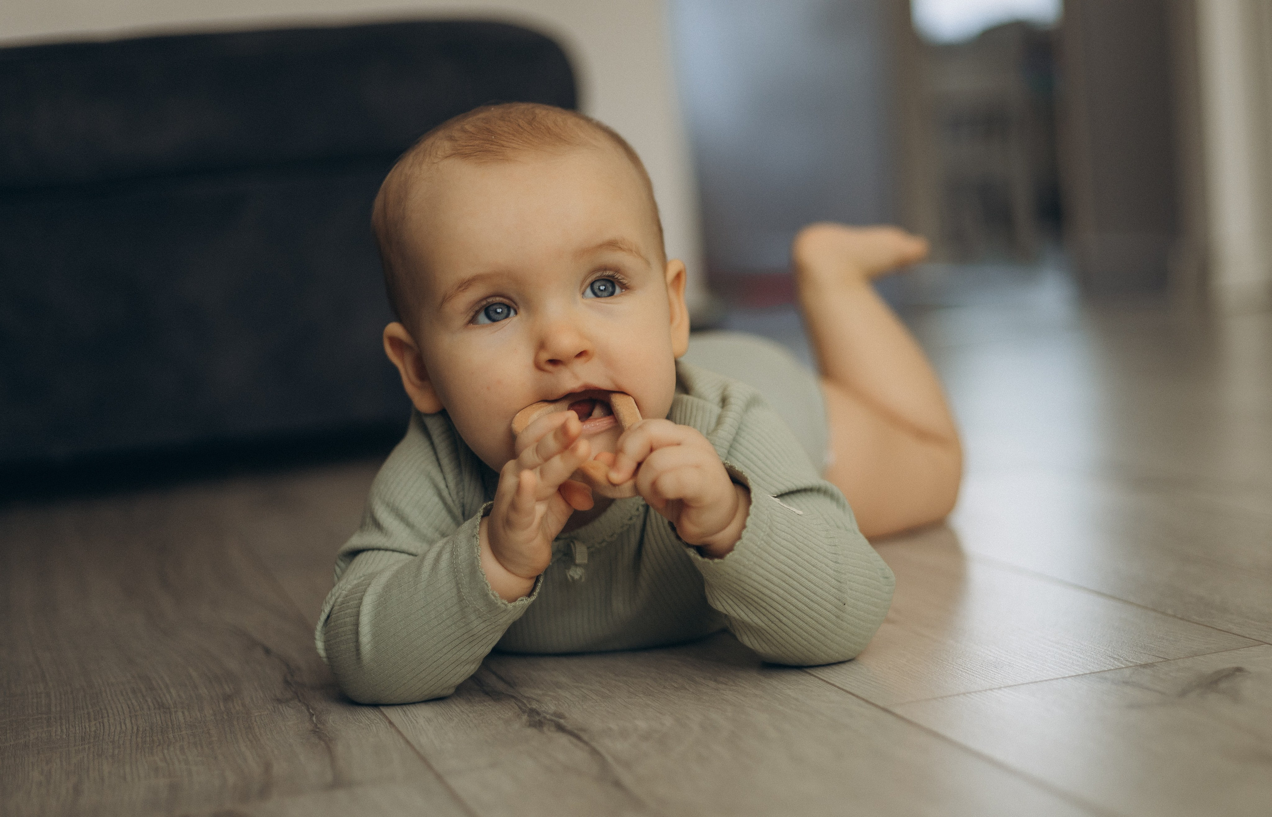 SENDIJAS ģimene. GALVENĀ