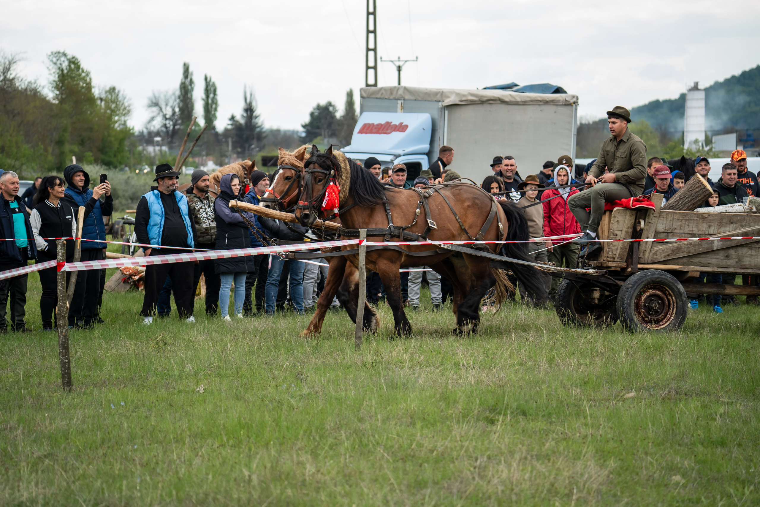 Concurs Ecvestru Vărbilău ediția a 4-a. Mihai Alexandra Events