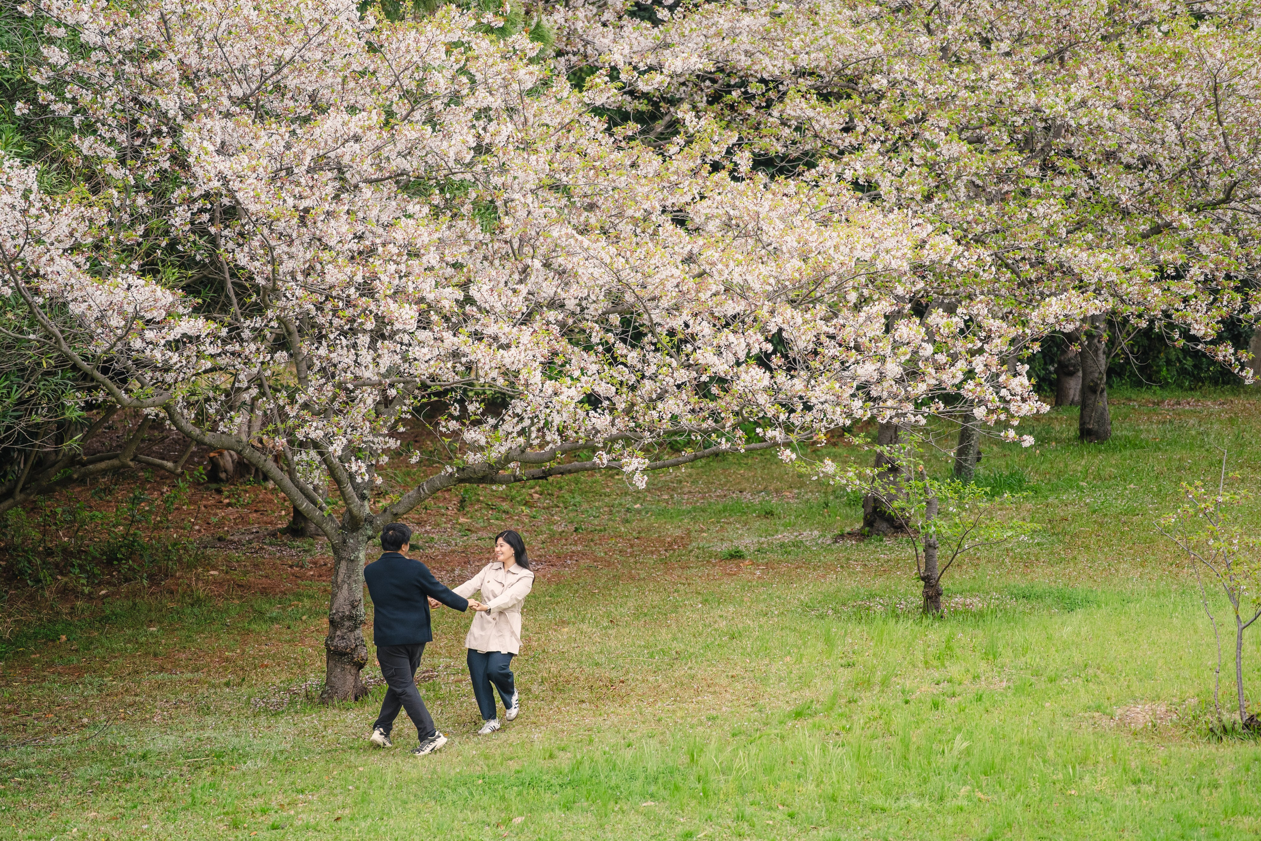 Nemophila Flower Photoshoot Uminonakamichi | Korean Drama Style Portraits Fukuoka. Portrait Photographer in Fukuoka, Japan | Alina Nazarova