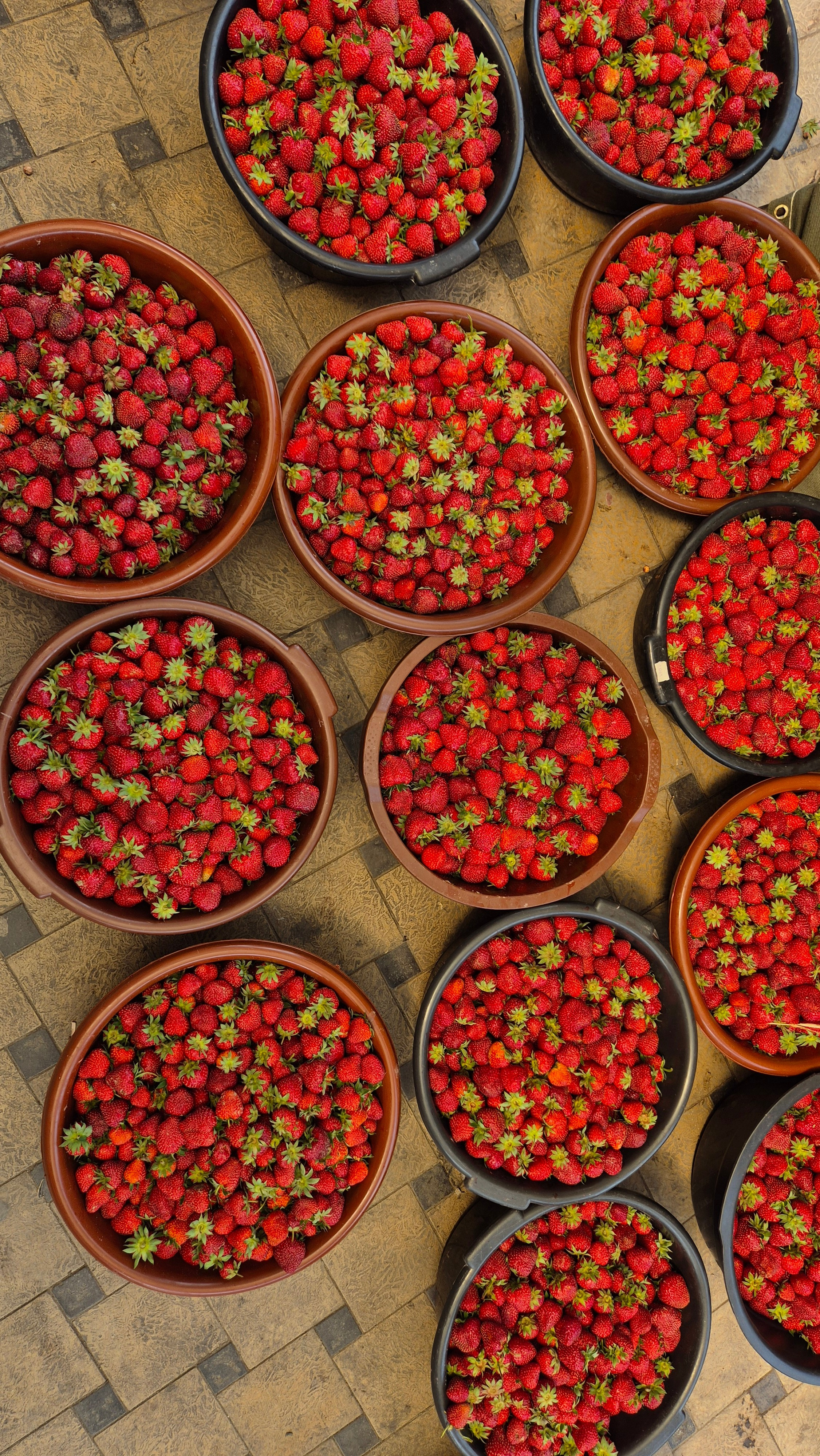 Uzbekistan 2024. Photographer Marina, city of Nuremberg