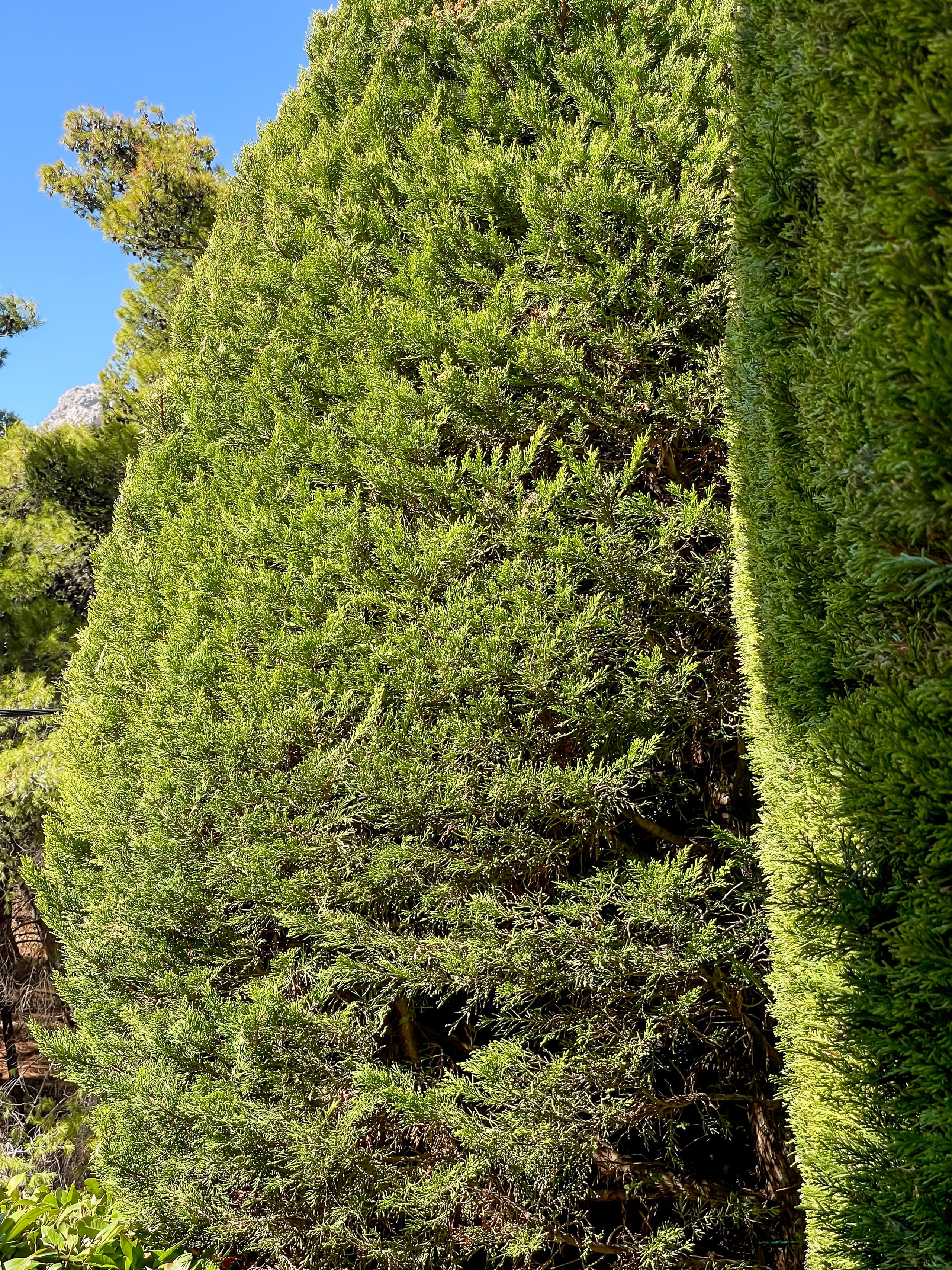 Κήπος Θρακομακεδόνες. Geoponitikon-Όταν η Επιστήμη συναντά την Τέχνη στο Φυσικό Τοπίο!