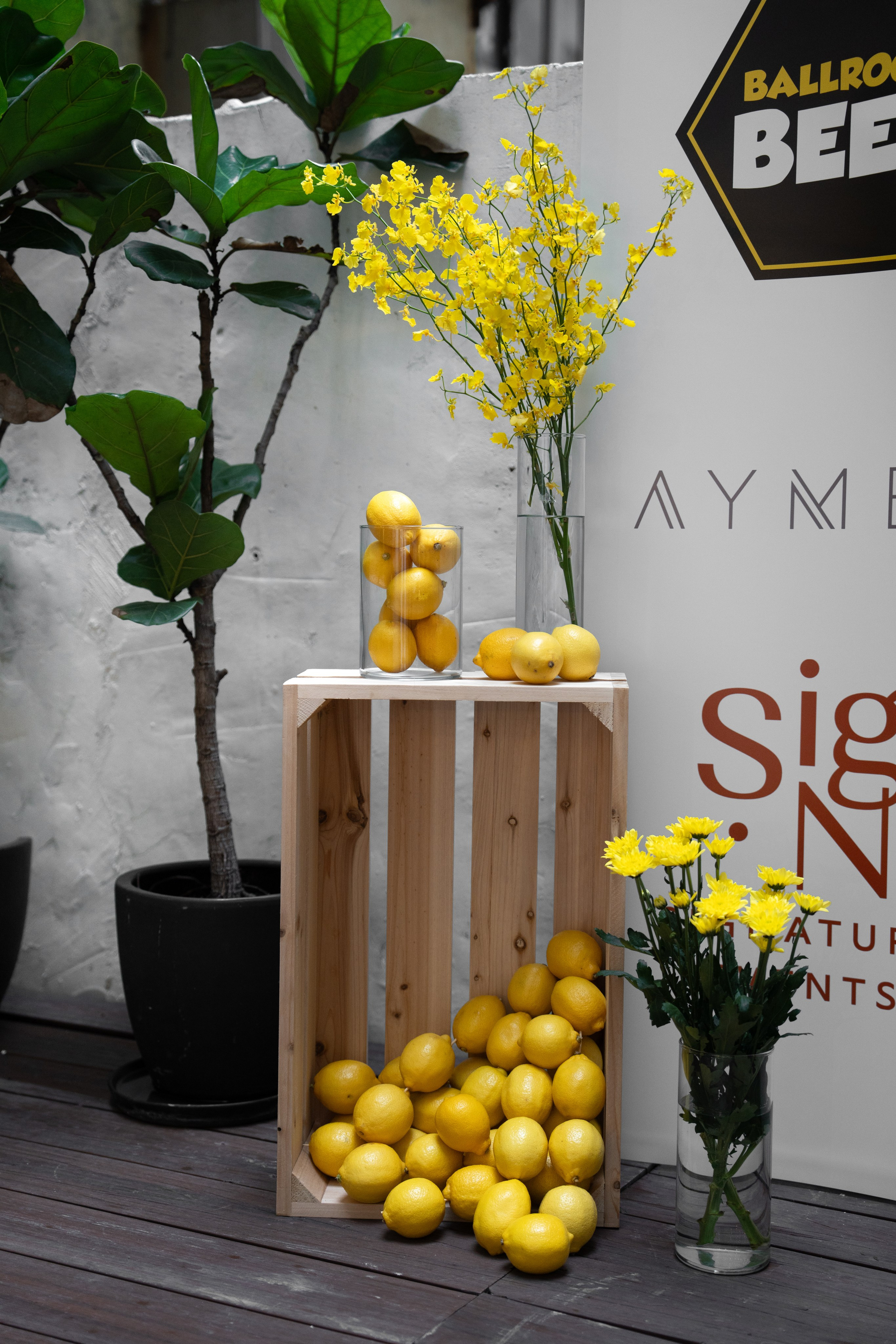 WOMEN-FOR-WOMEN GRAND DINNER. ФОТОГРАФ В ГОНКОНГЕ (СВАДЬБЫ, FASHION, СЕМЕЙНЫЕ, МЕРОПРИЯТИЯ, ФОТОПРОГУЛКИ)