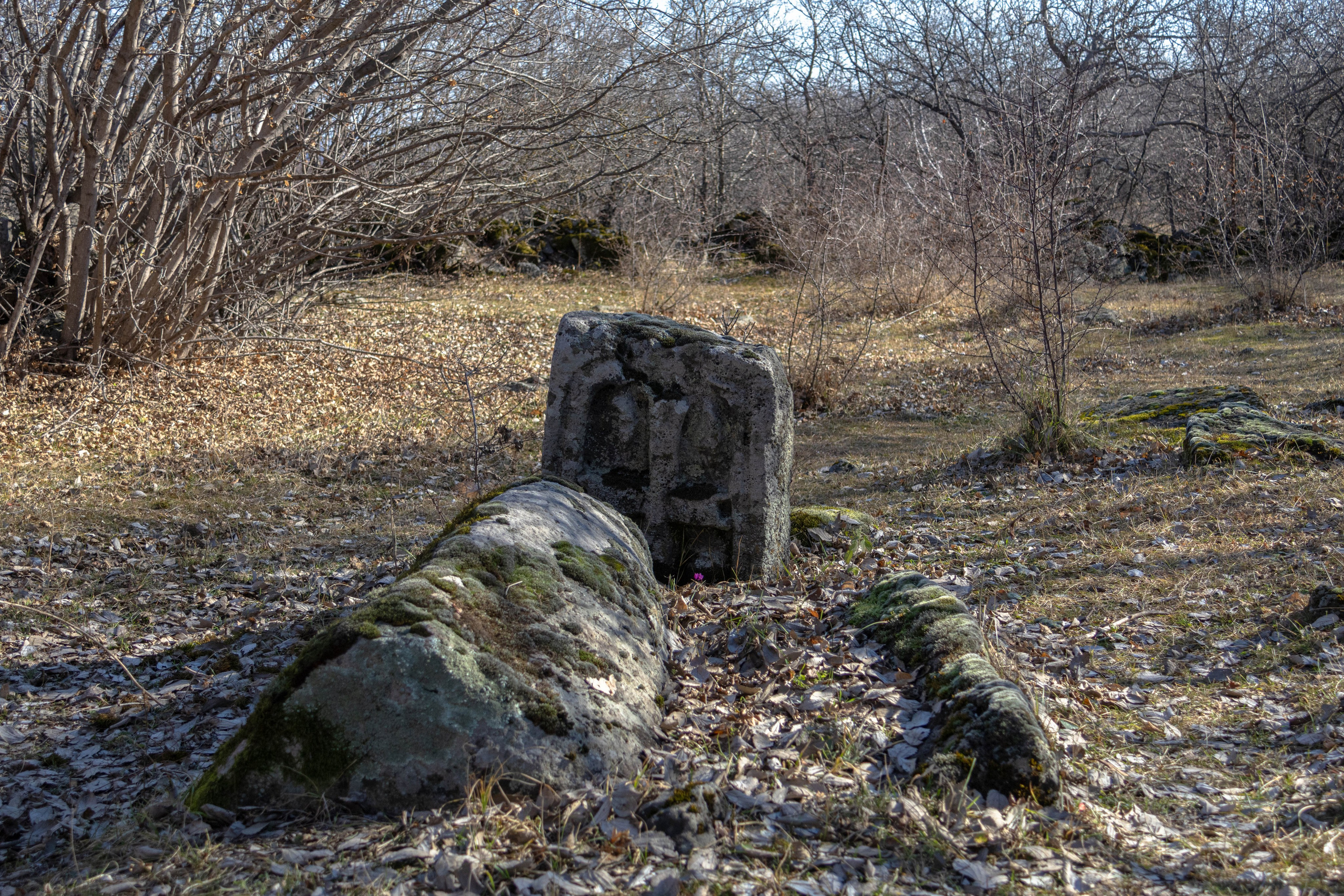 სამშვილდე. FramefreeMan