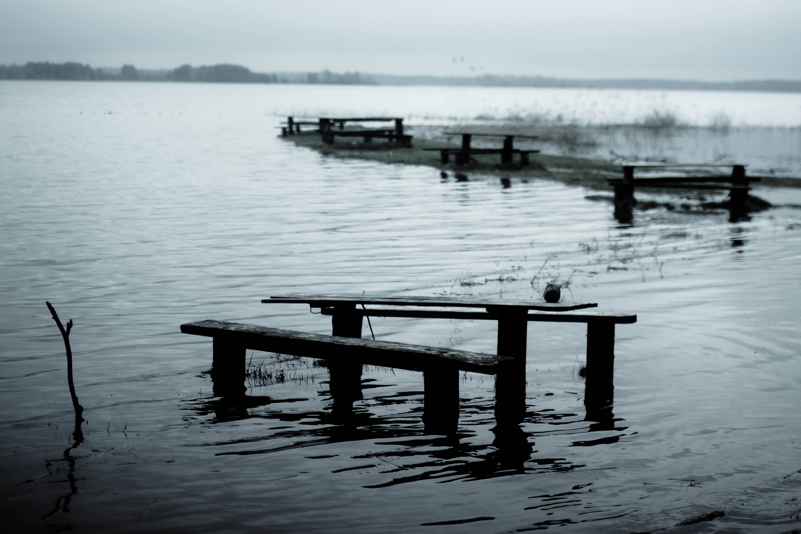 2011. Стрит-фотография, полная абсурда, идиотизма и красоты