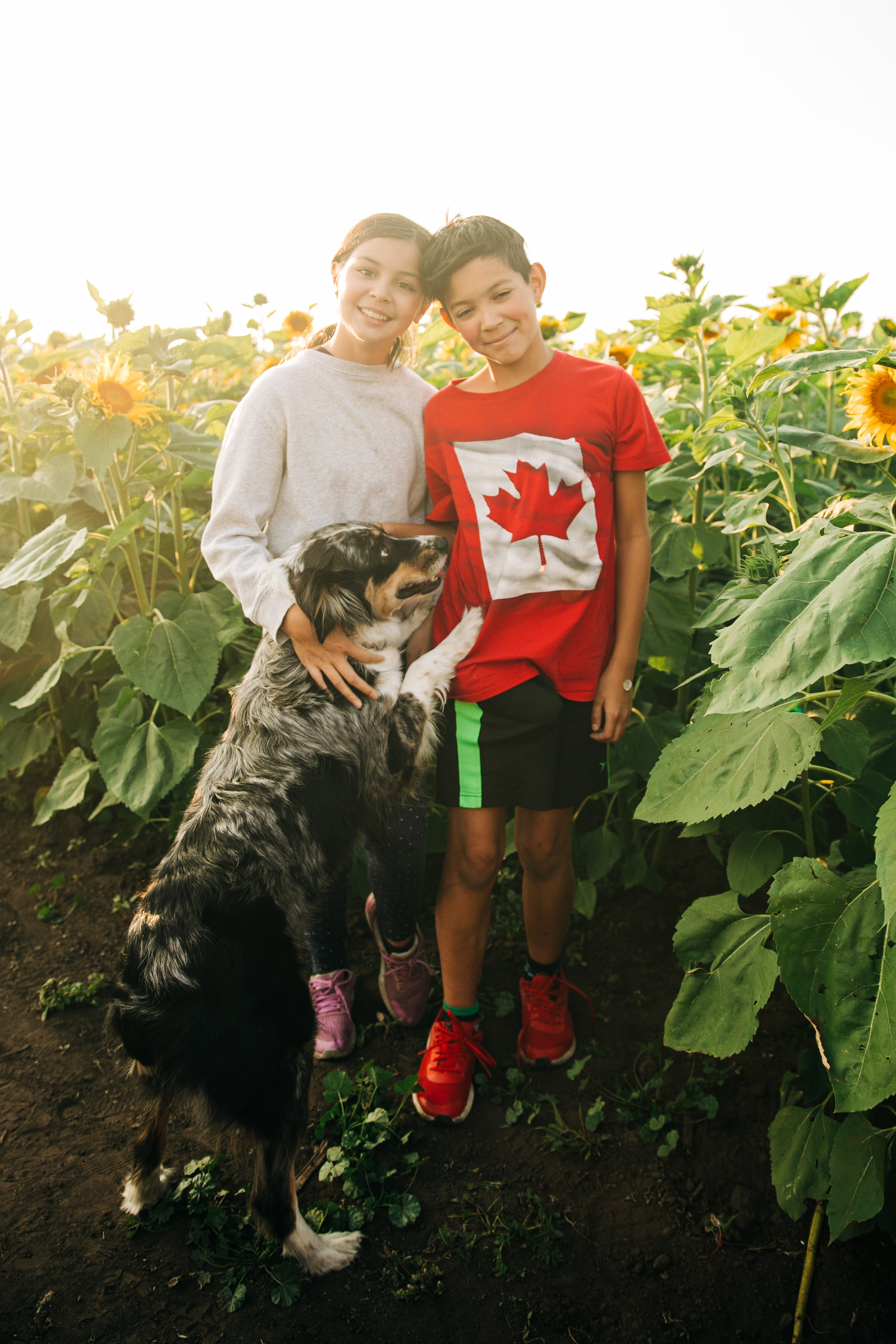 Bowden Sunmaze Ana Pau. Fotografía accesible en Calgary