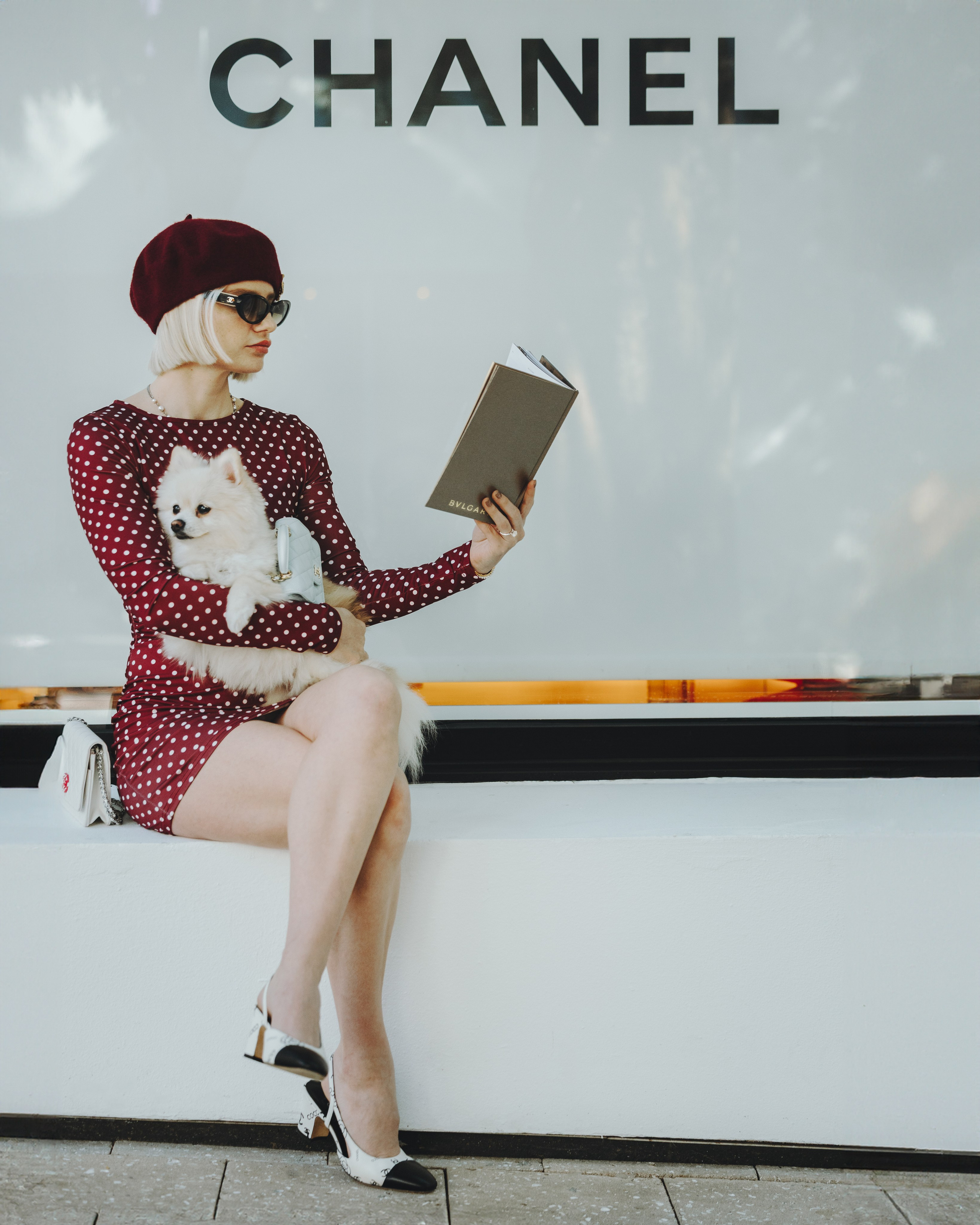 Lexy & Tatiana. Pet Photographer Viktoriya Aleshenko