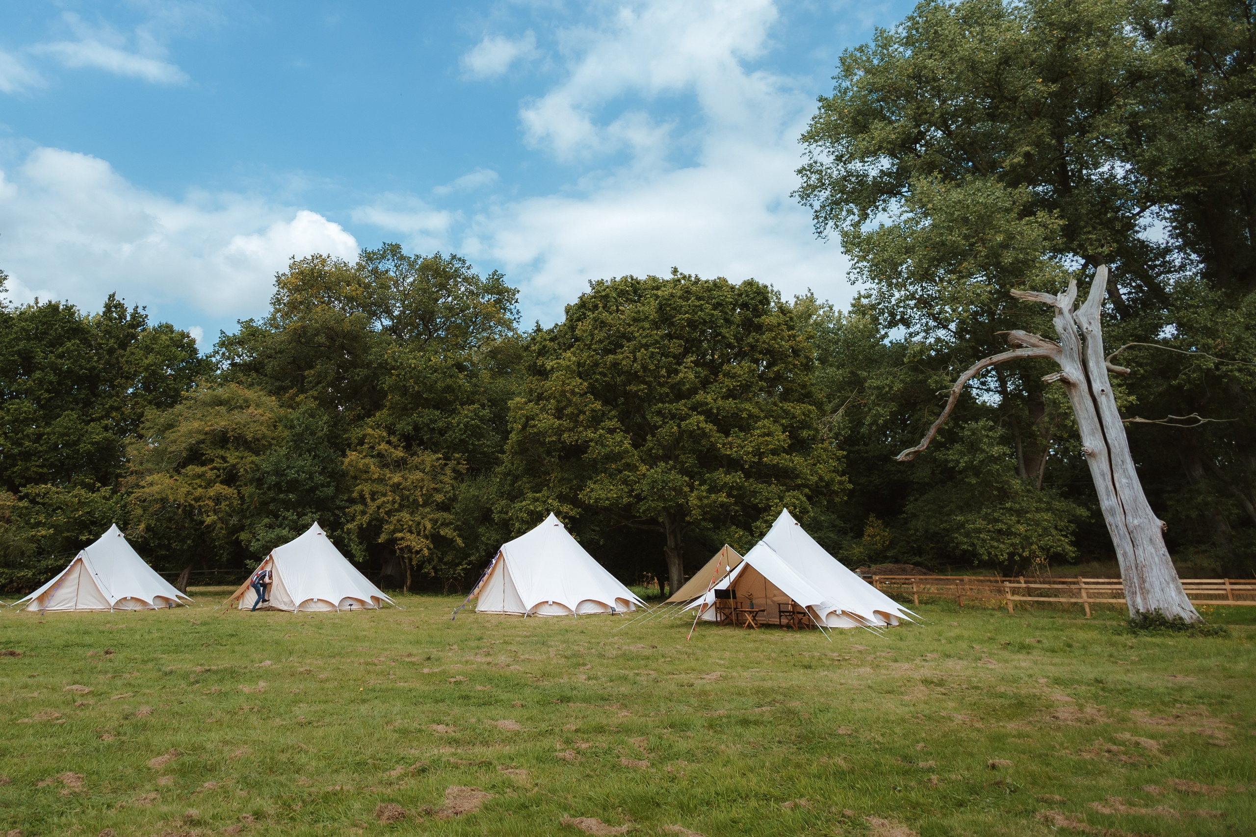 Wedding in forest. Timeless Wedding & Event Photography — based London, working across Europe