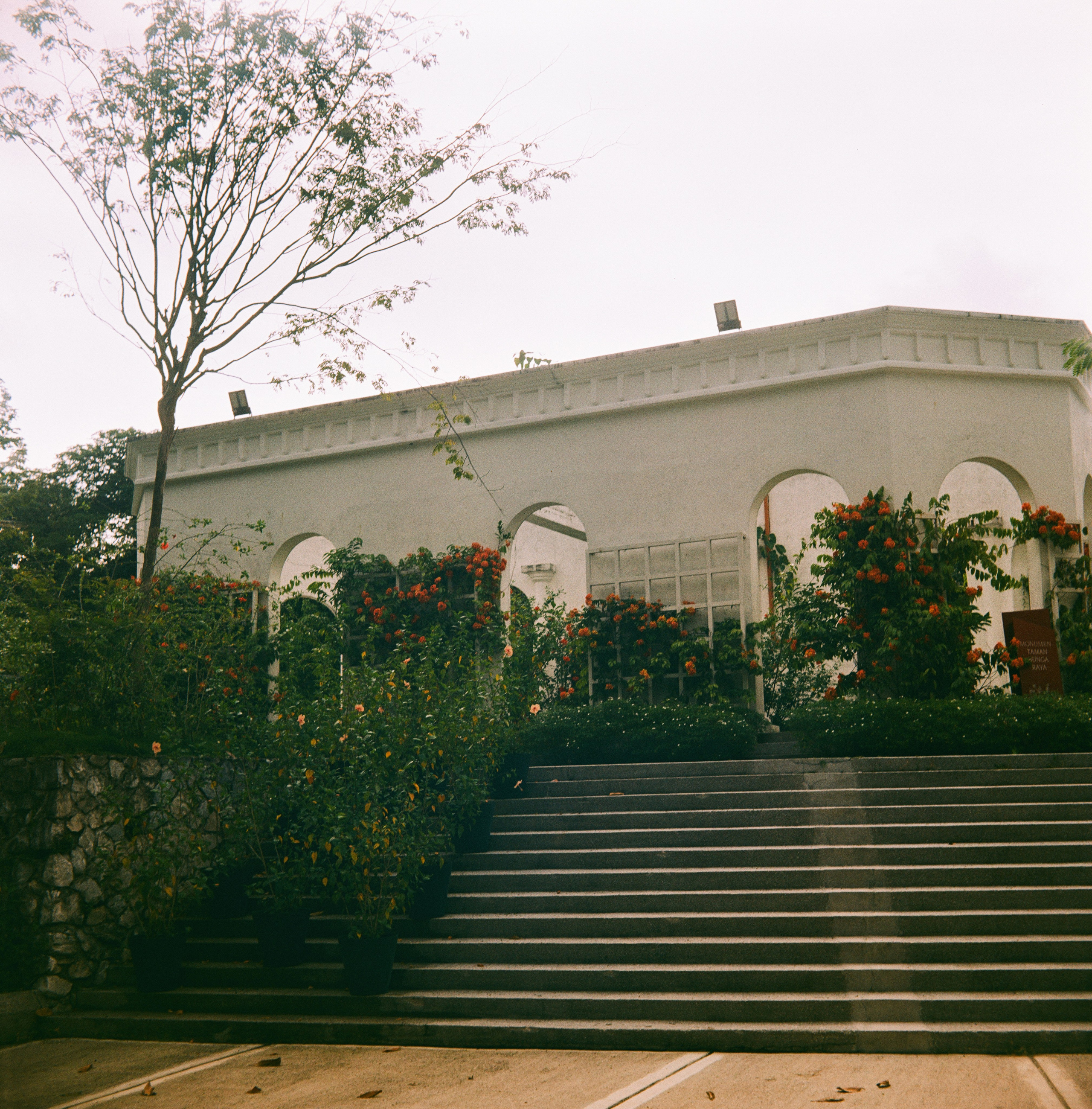 KL Orchid Garden | Barely Somewhere Studio