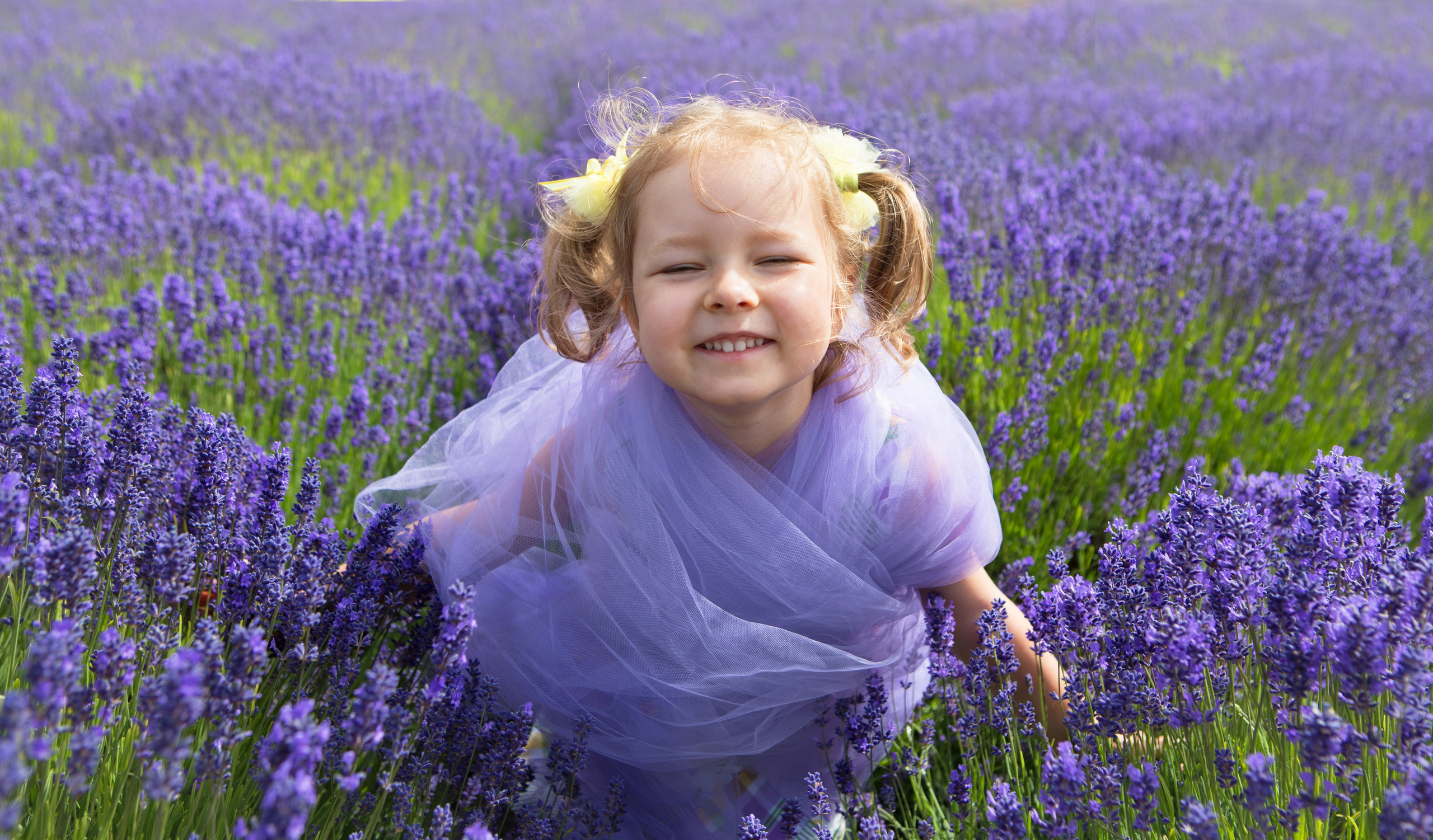 Lavender fields photoshoot. YuAnna studio. Family & Kids Photographer in Seattle area, located in