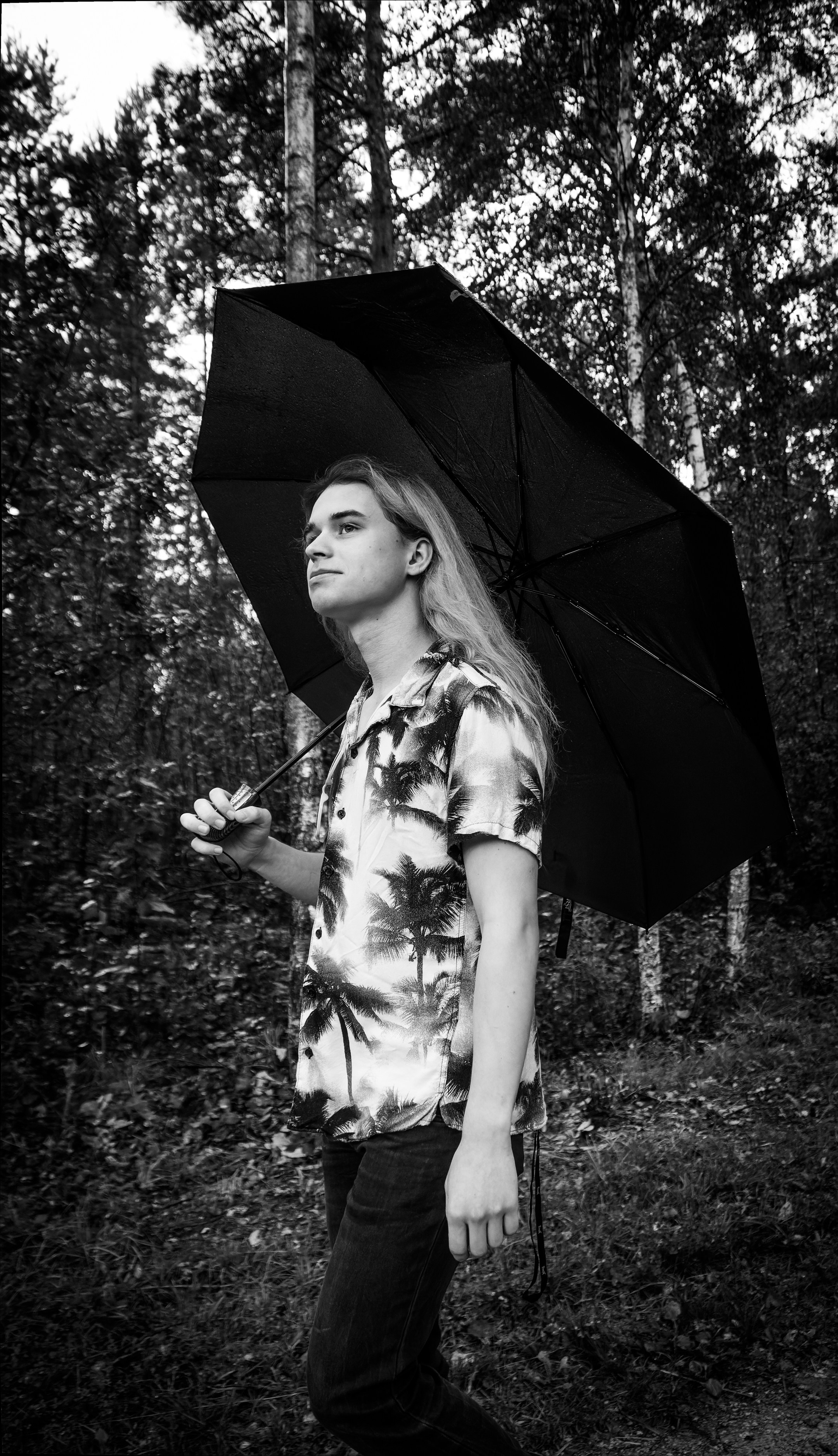 Mets, vihm ja jahedus (Dimitry). Nebula 25 — Fotod teie hingele