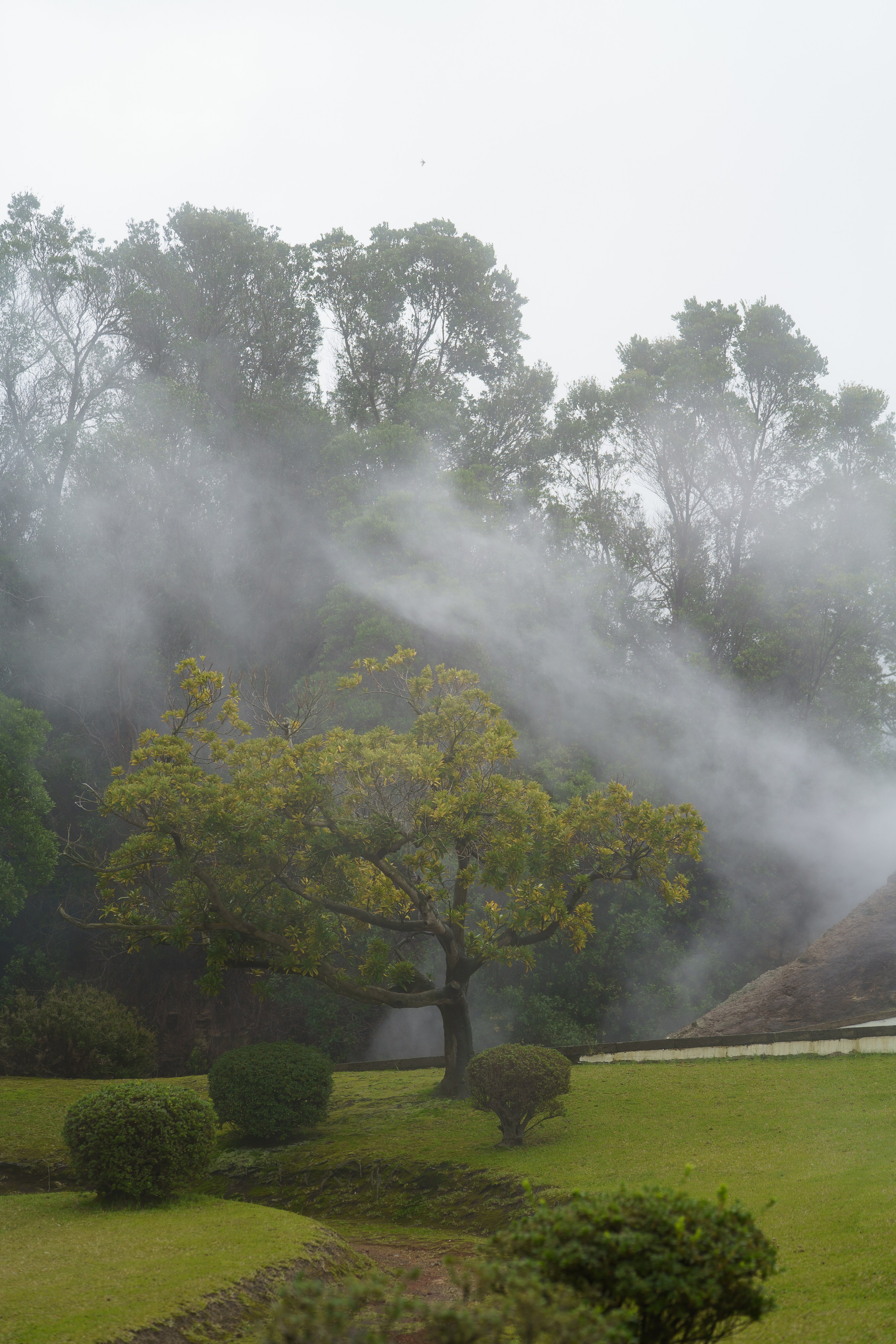 Фотограф на Азорах, Сан Мигель. Зенькевич Анна