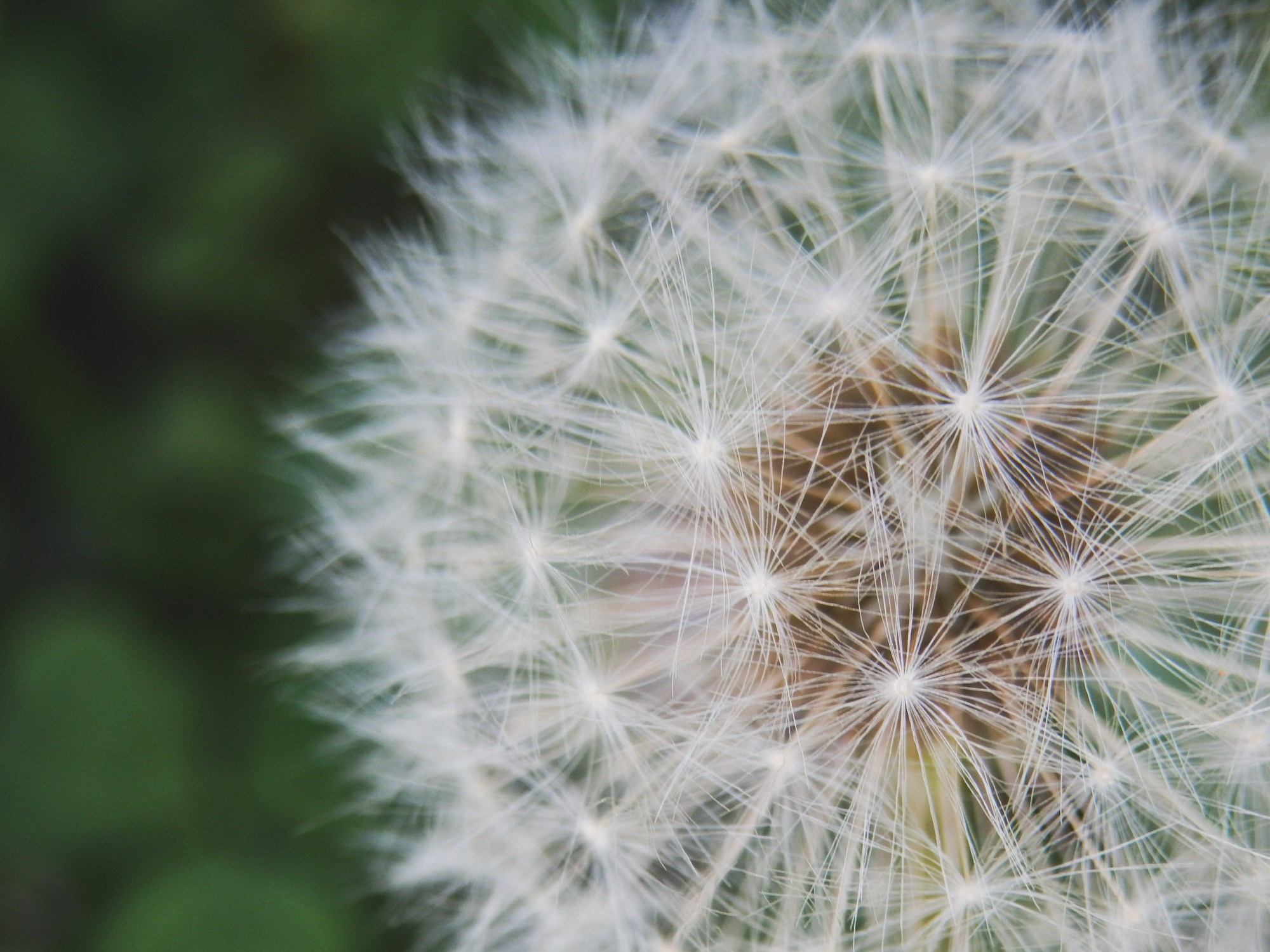 Peisaj /natura. Daniel Criste Fotograf