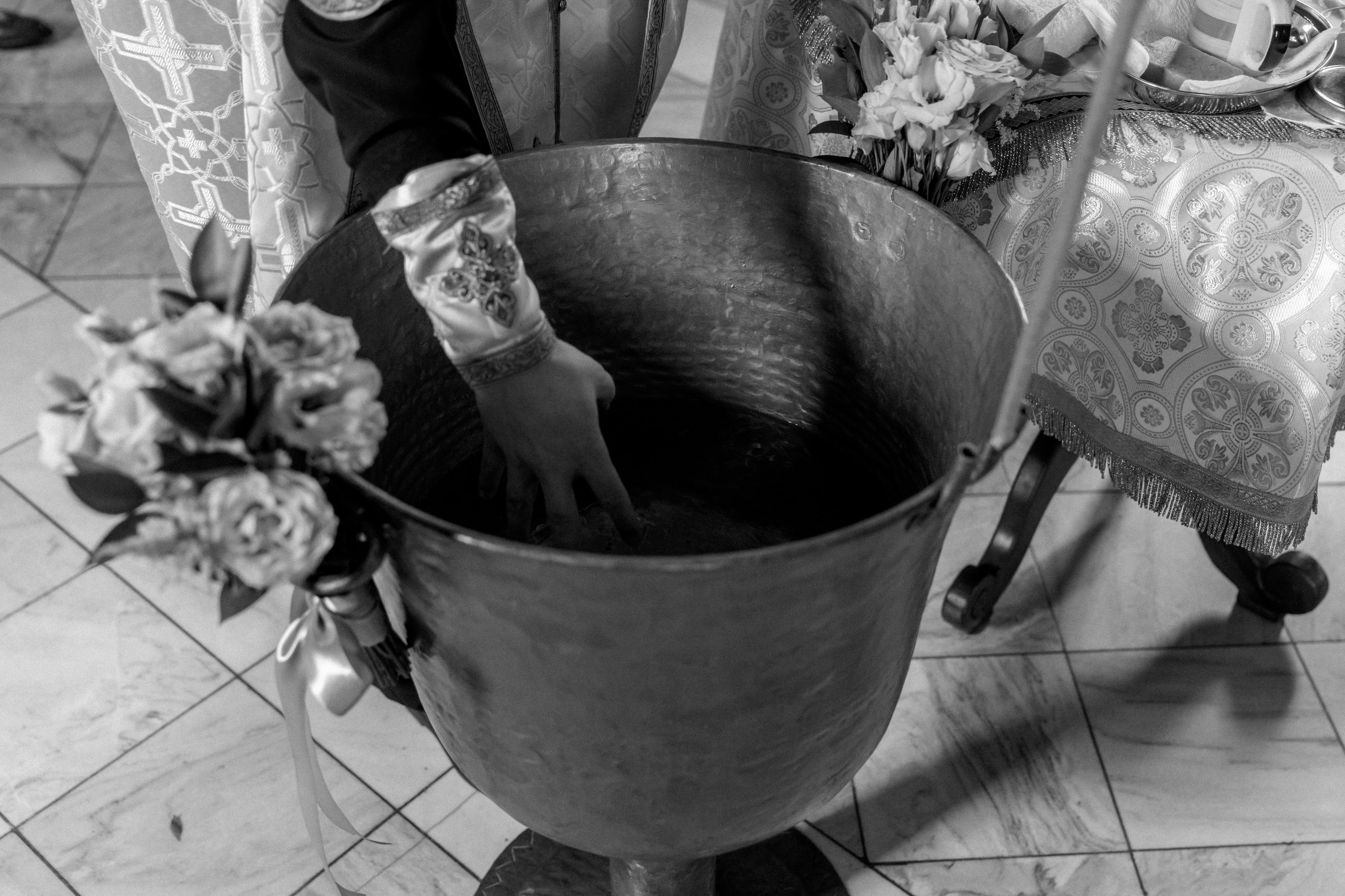 Baby Iris. Gabrielacojocariu.com