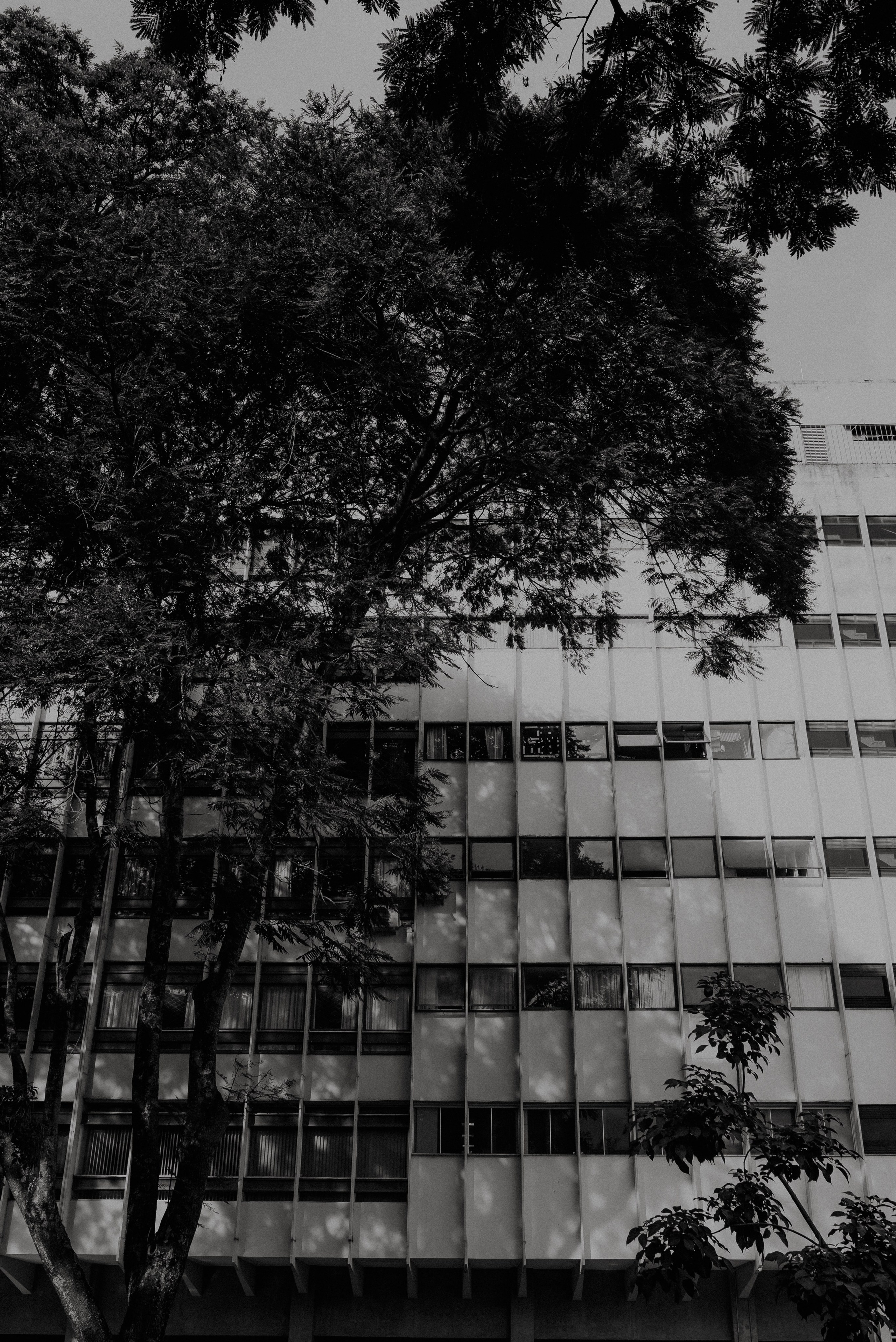 Hadassa e Rômulo. Fabio Barth | Foto e Filme de casamento