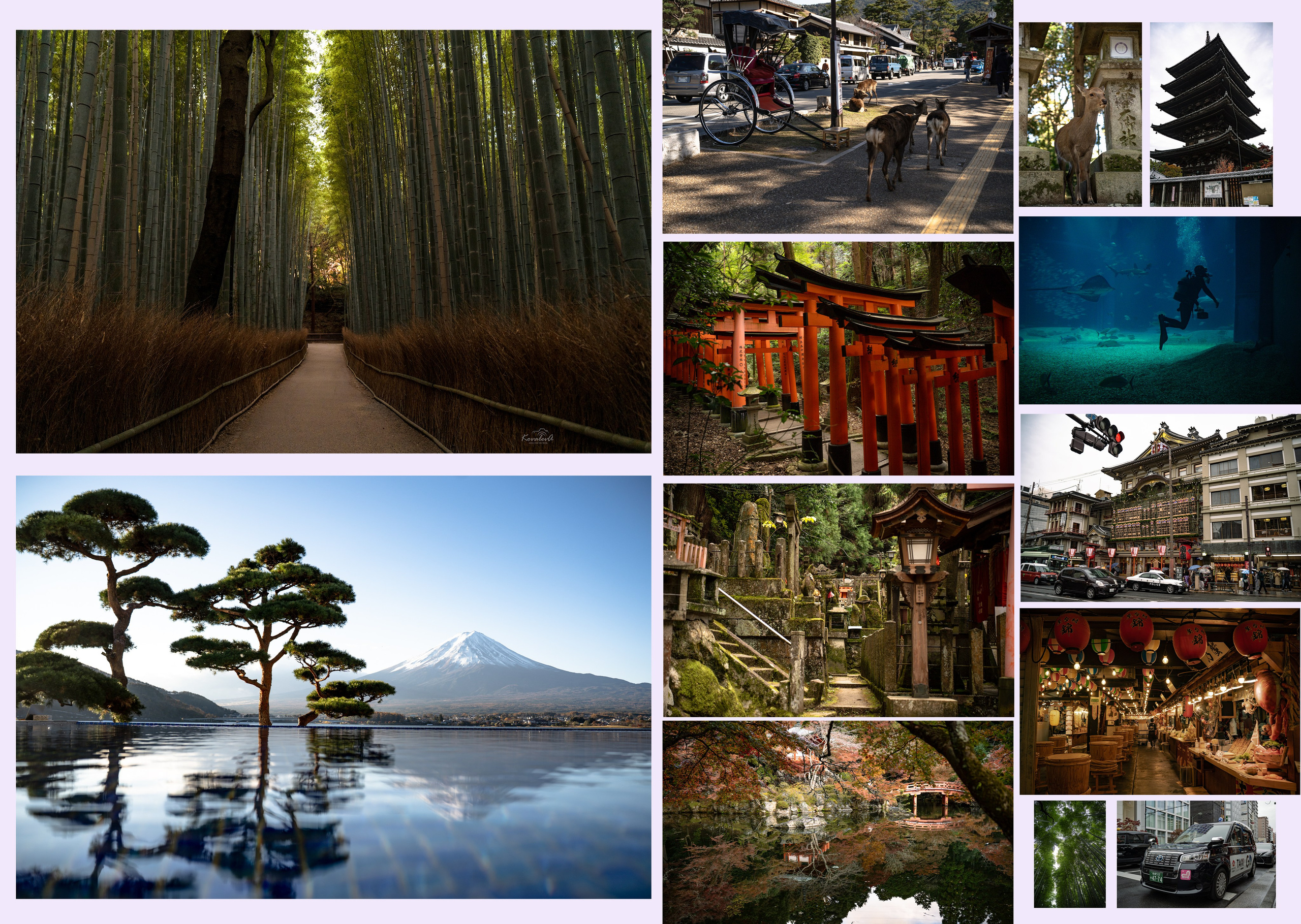 Мои работы. Фотограф в Кишиневе, Чадыр-Лунге, в Комрате Ковалева Зинаида