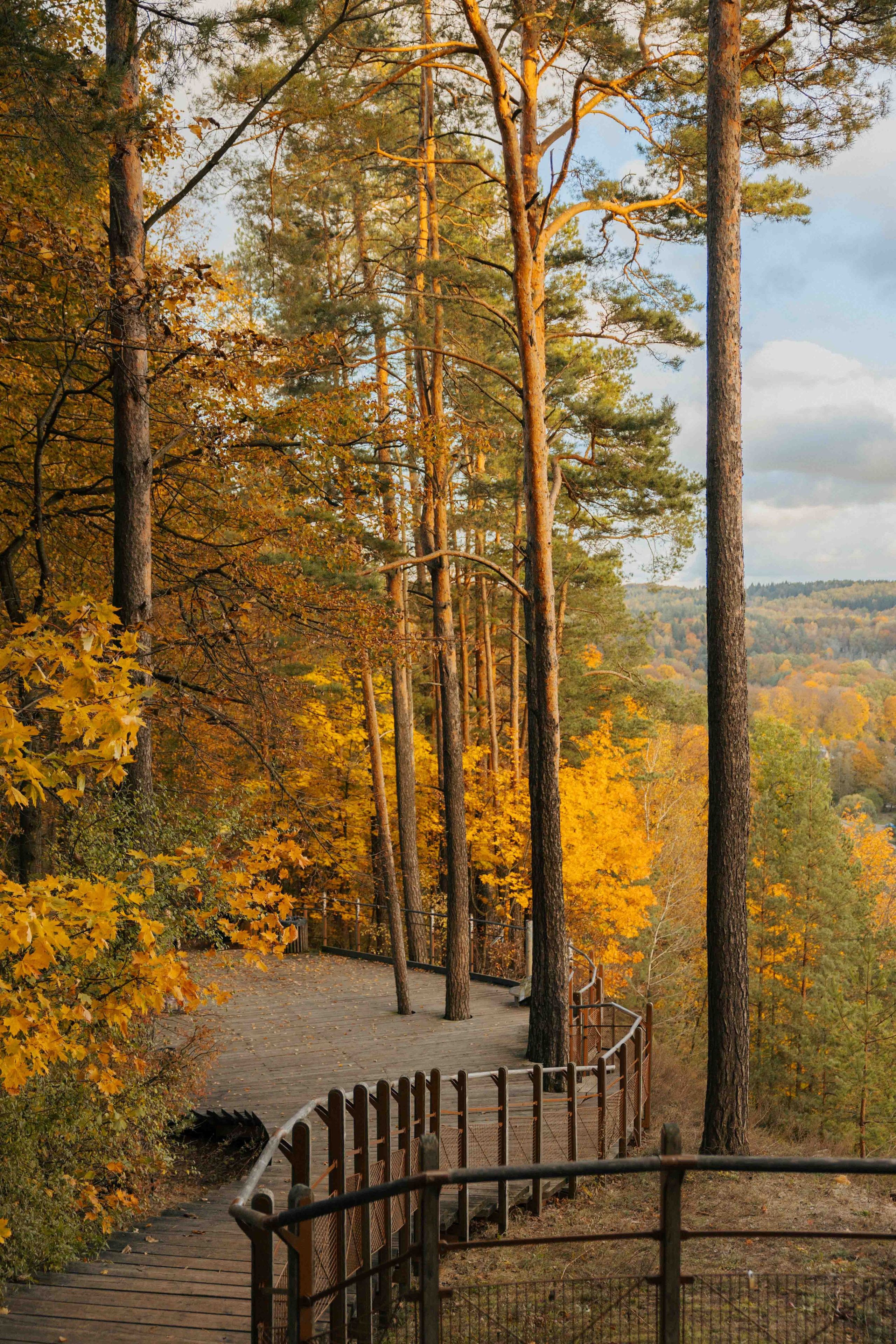 Best Autumn Photoshoot Locations in Vilnius: Top Spots to Capture the Fall Colors. Framed by Evelina | Destination Wedding Photographer from Lithuania | Europe