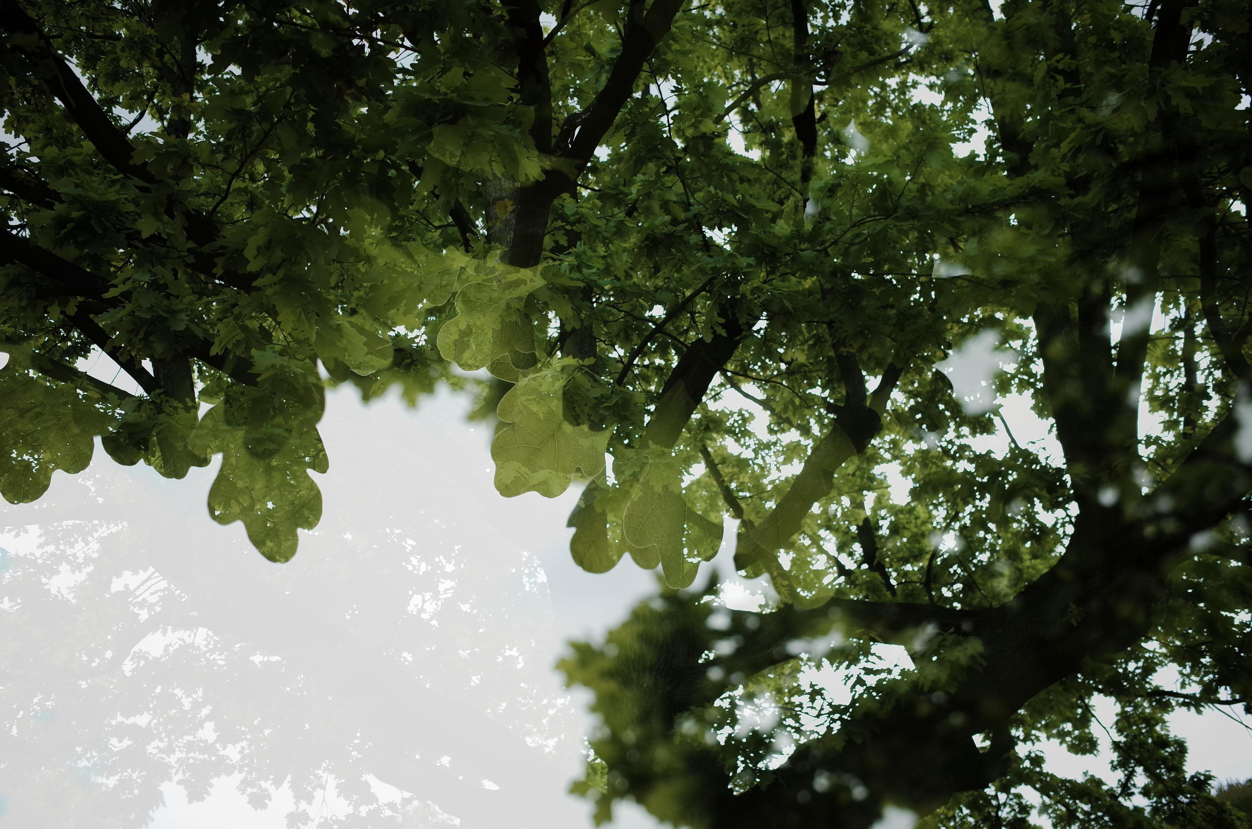 Demeter Dreams. Victoria Dini. Art photography in London / Folkestone, UK