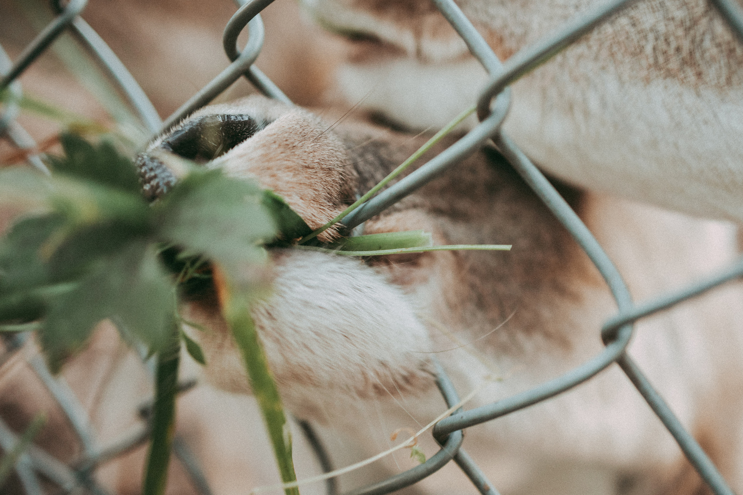 FAMILLE. Je suis Olga, votre photographe de famille à Metz et dans toute la France