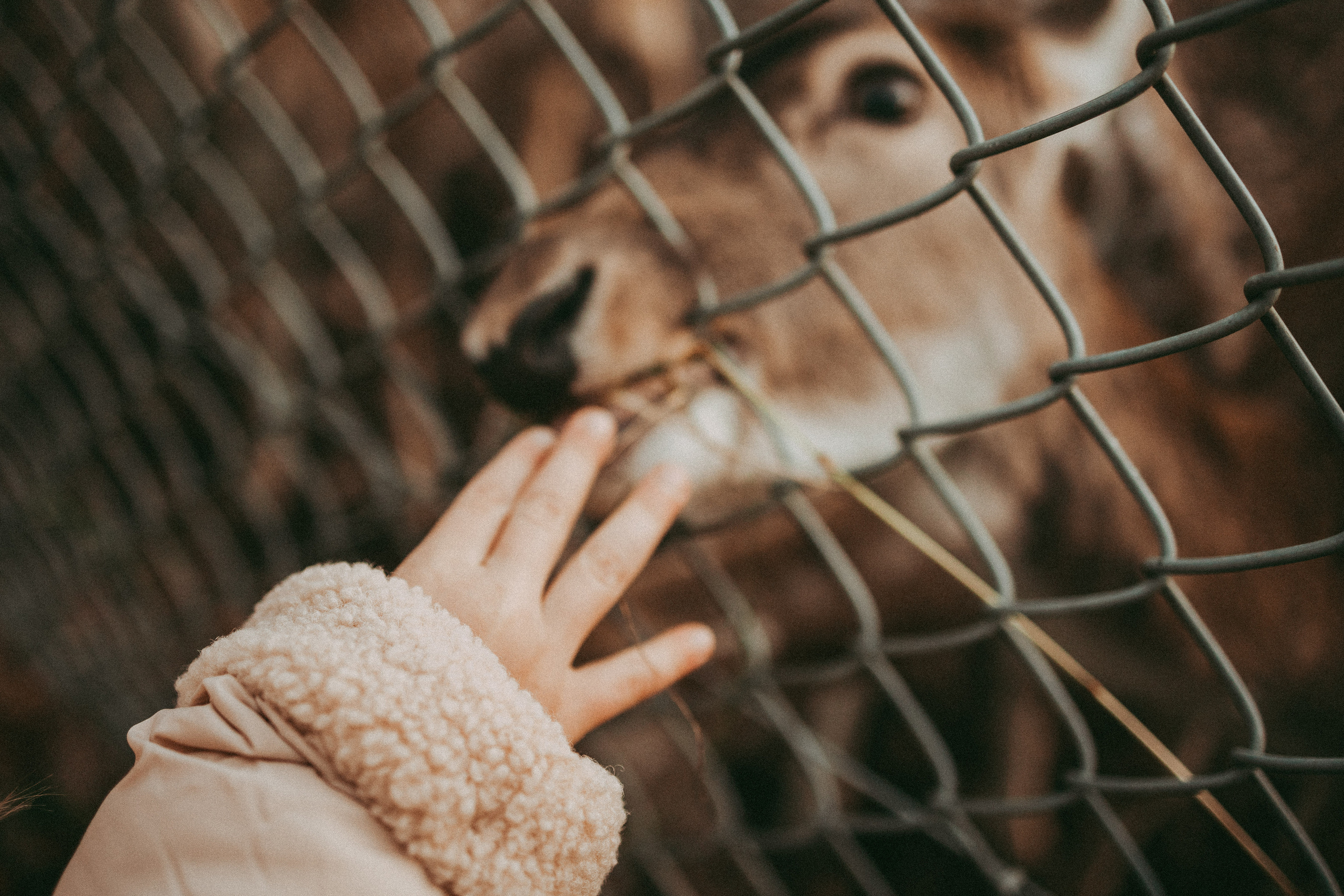 FAMILLE. Je suis Olga, votre photographe de famille à Metz et dans toute la France