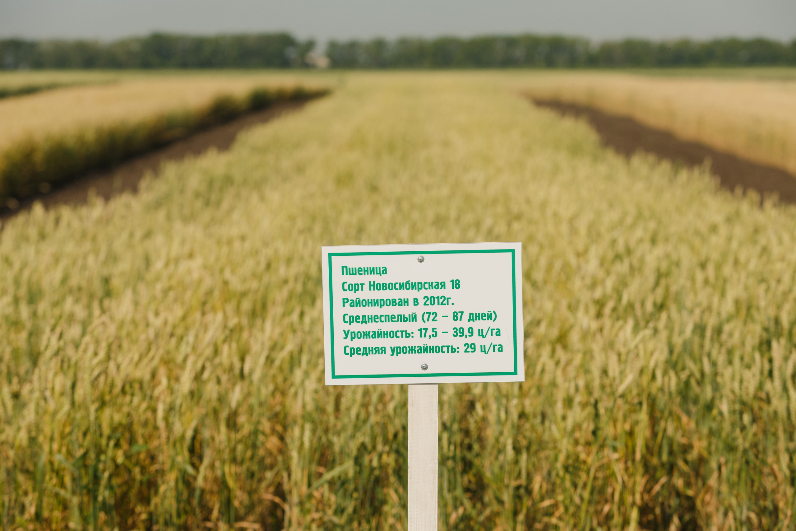 Exposición de maquinaria agrícola. Fotógrafo de retrato, familia y reportajes en Valencia | España | Europa Vitalii Lumier