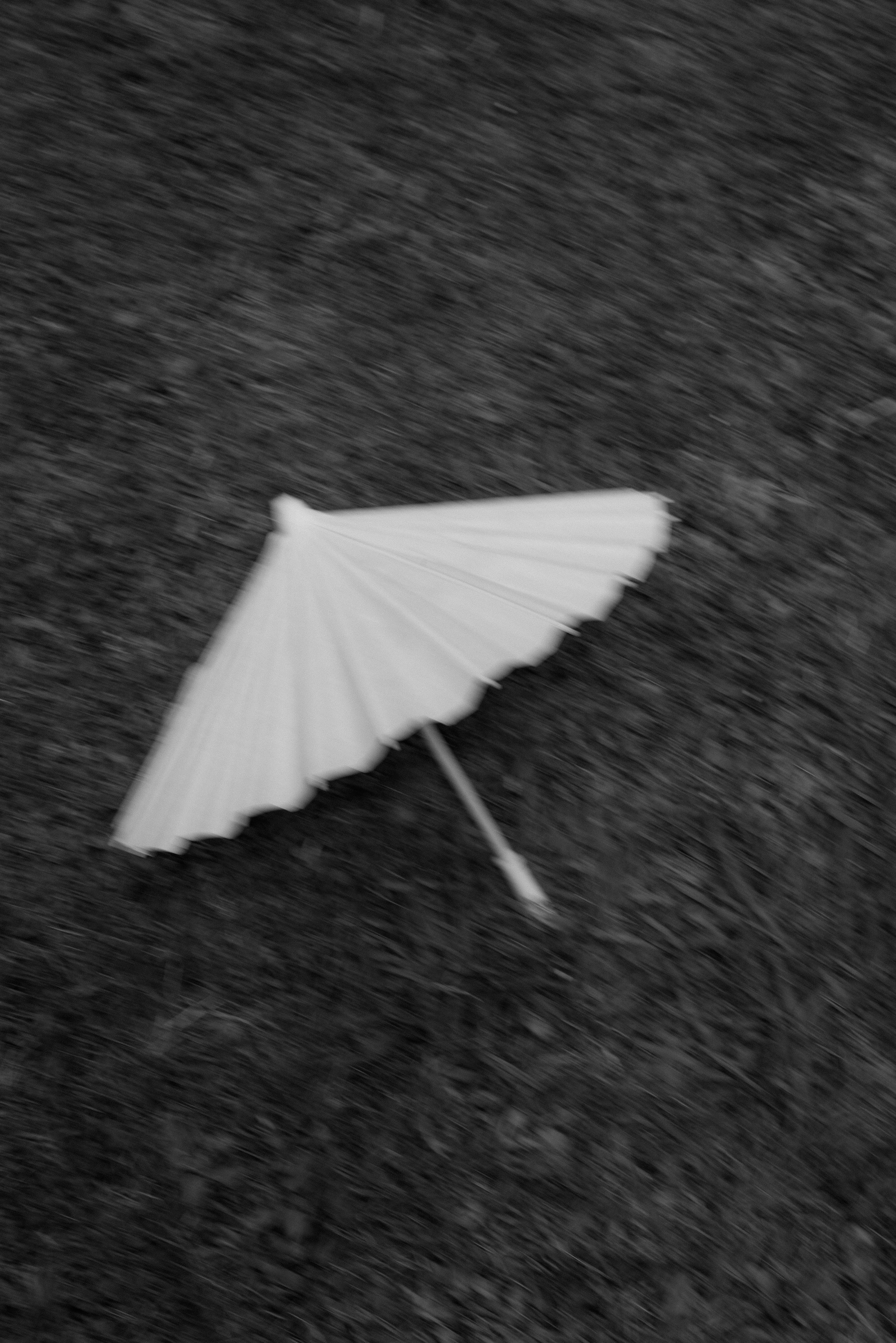 Melissa&Obaid. Wedding photographer Italy