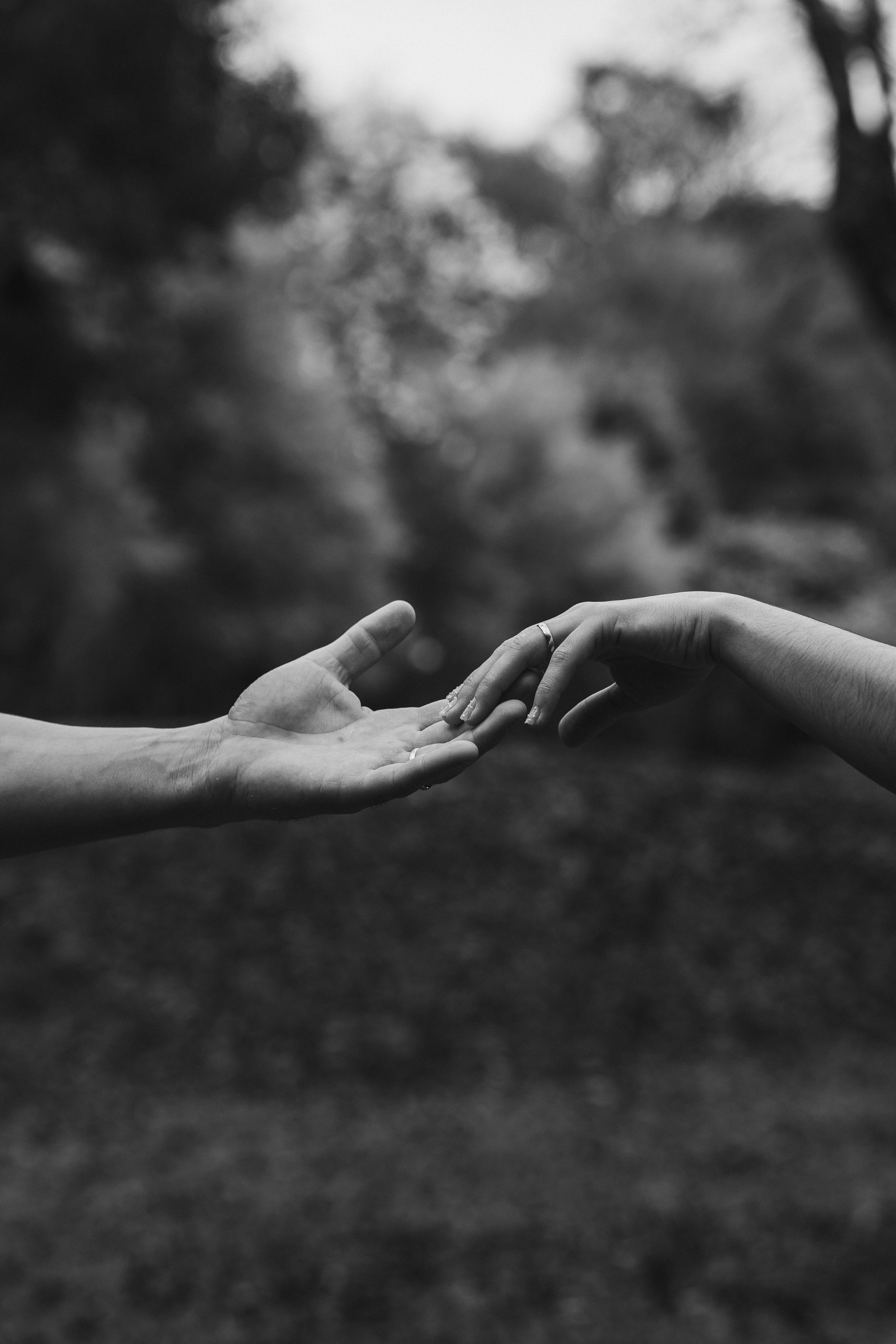 FOTOGRAFIA DE CASAMENTO. PAULO MOSS FOTOGRAFIA