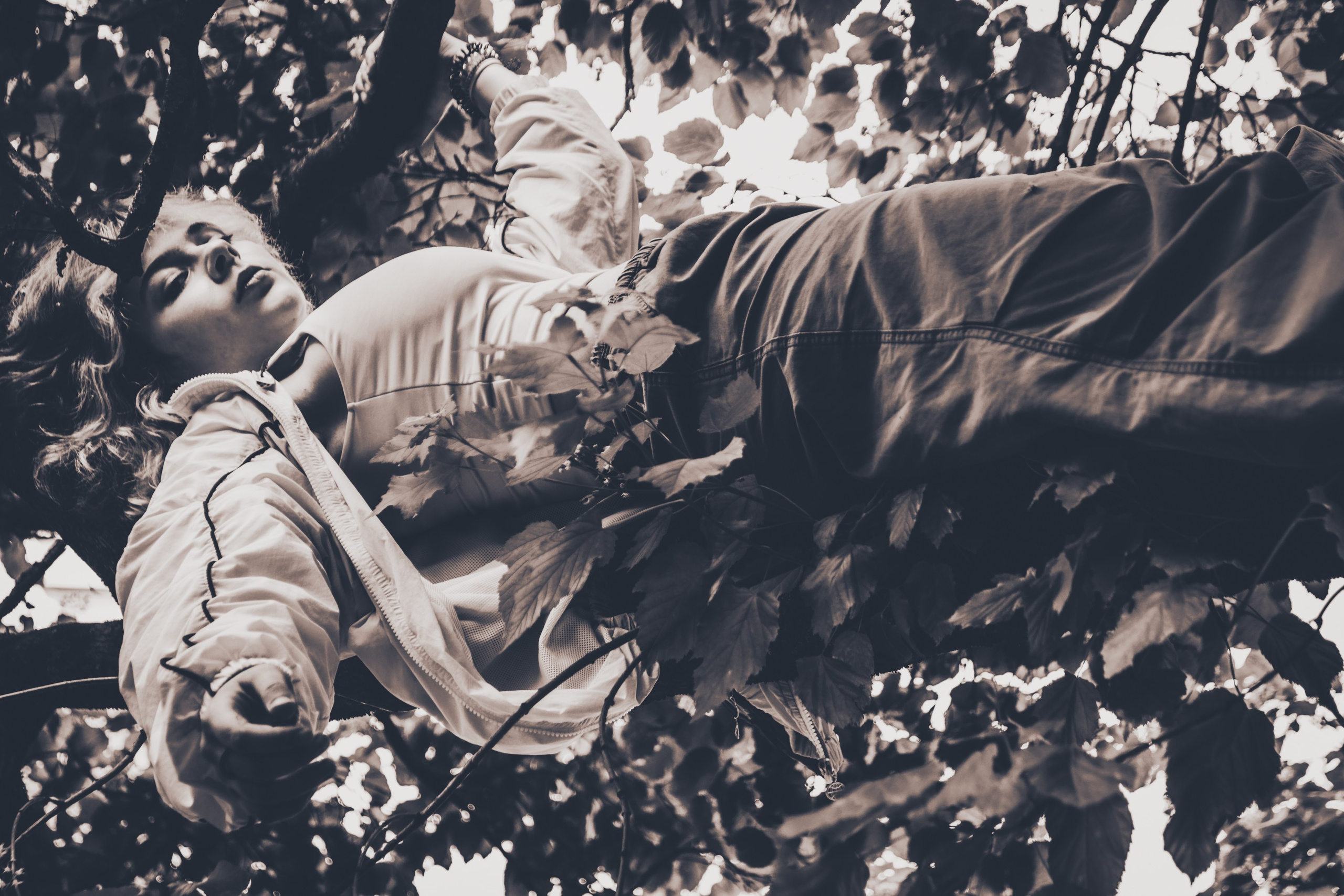 Lahe graatsia (Sonja). Nebula 25 — Fotod teie hingele