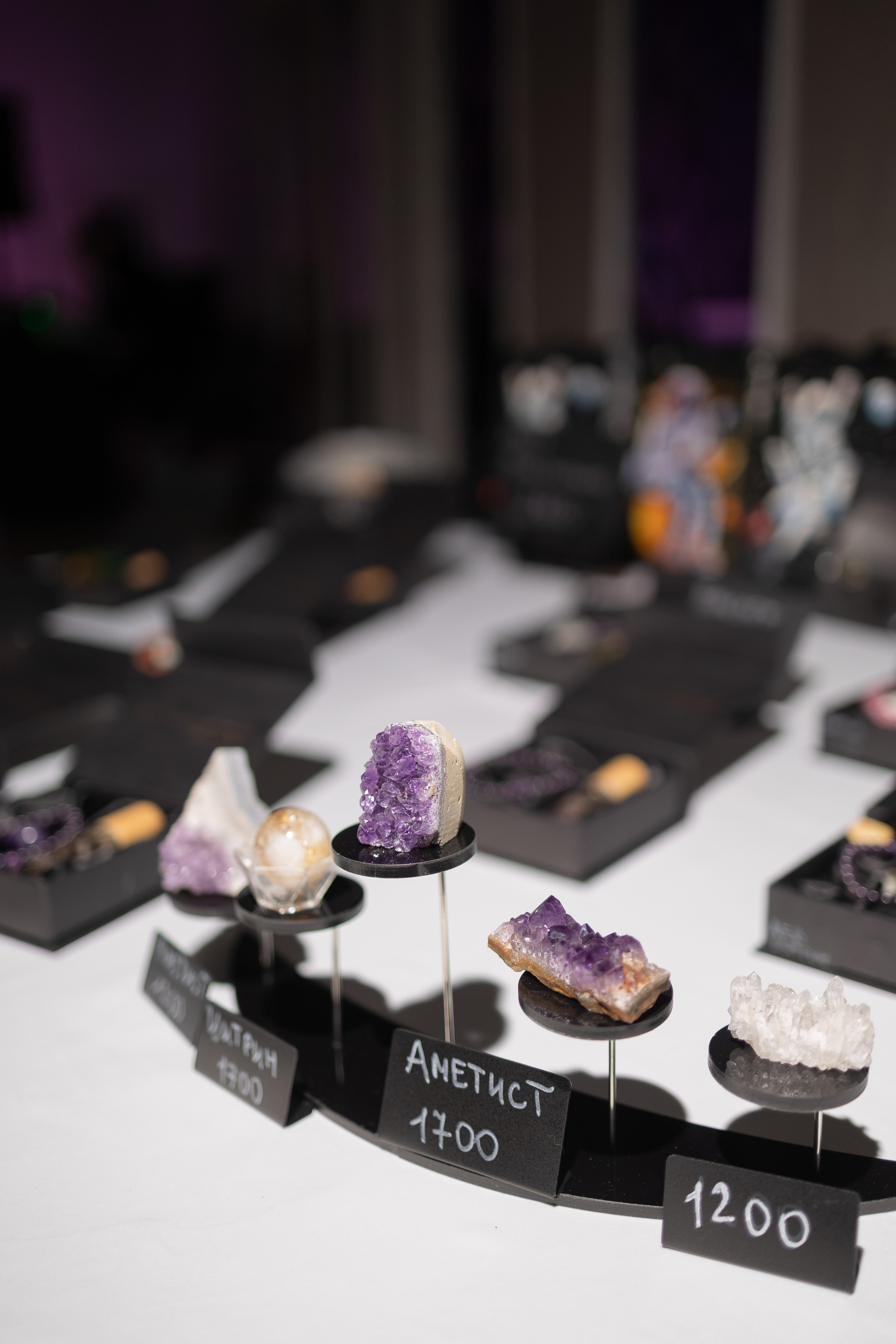 AstroBrut Conference. Wedding and family photographer