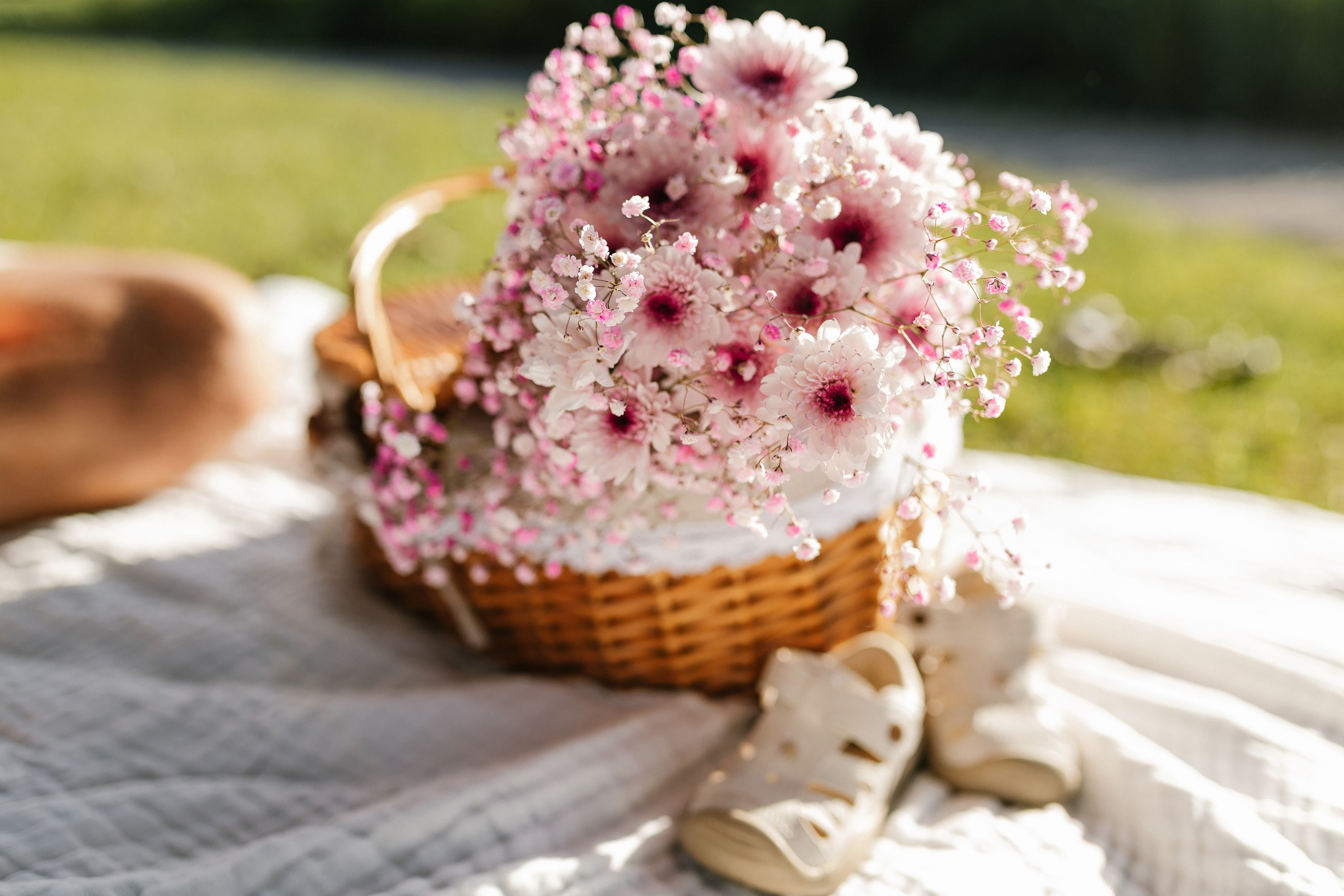 08.21.25 Family Photoshoot. Wedding family event photographer in Chicago Nick Yushevich