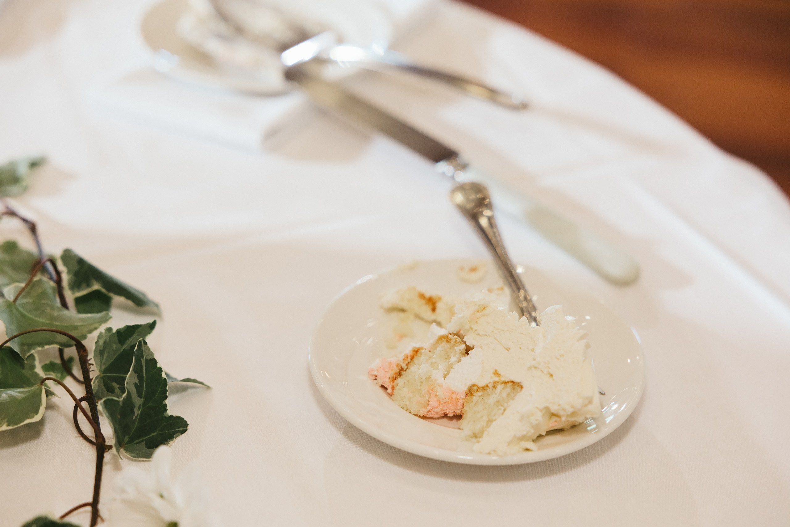 06.14.2025 Wedding. Wedding family event photographer in Chicago Nick Yushevich