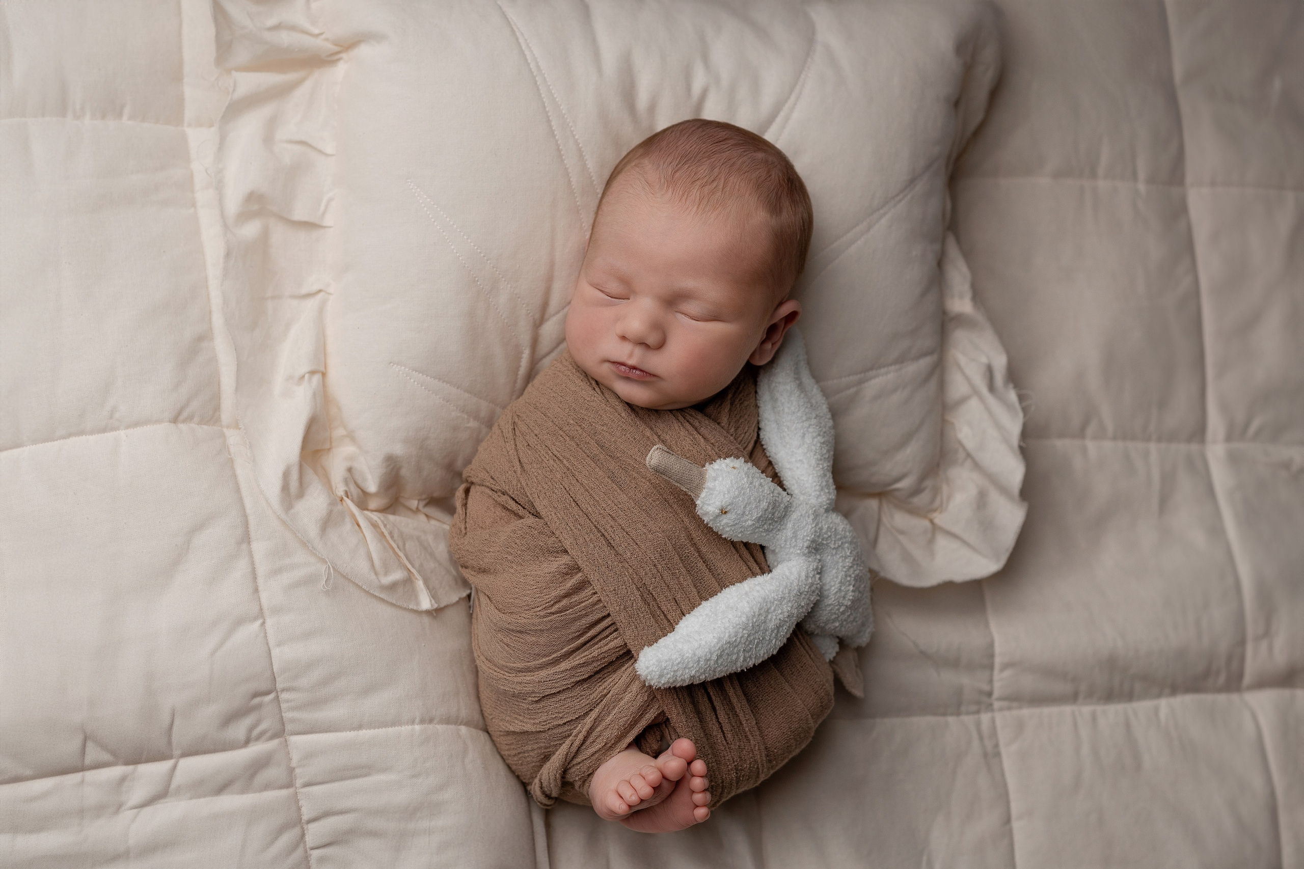 Newborn package STANDARD. Family and newborn photographer