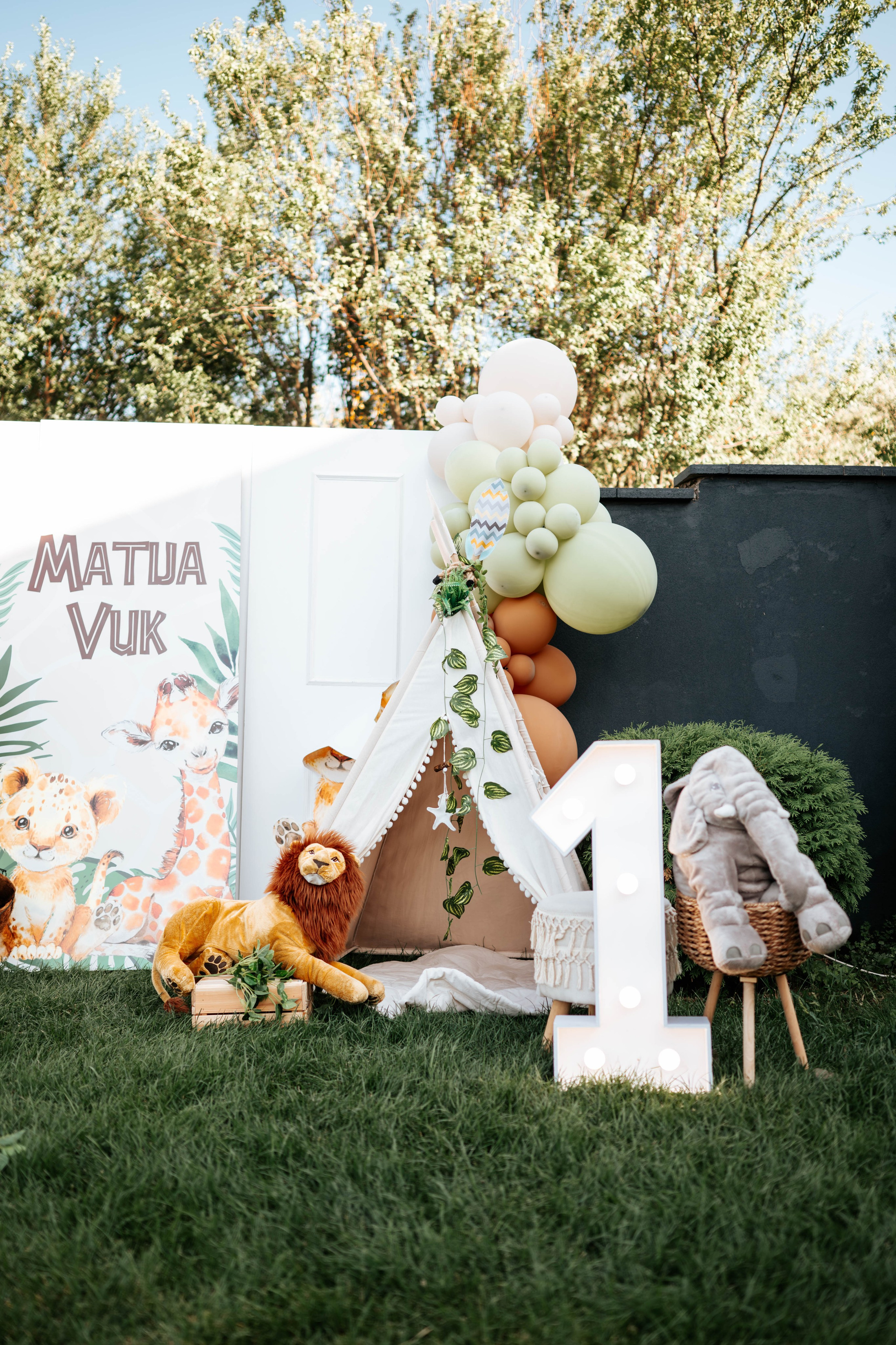 Matija & Vuk - rođendan. Dečiji i porodični fotograf