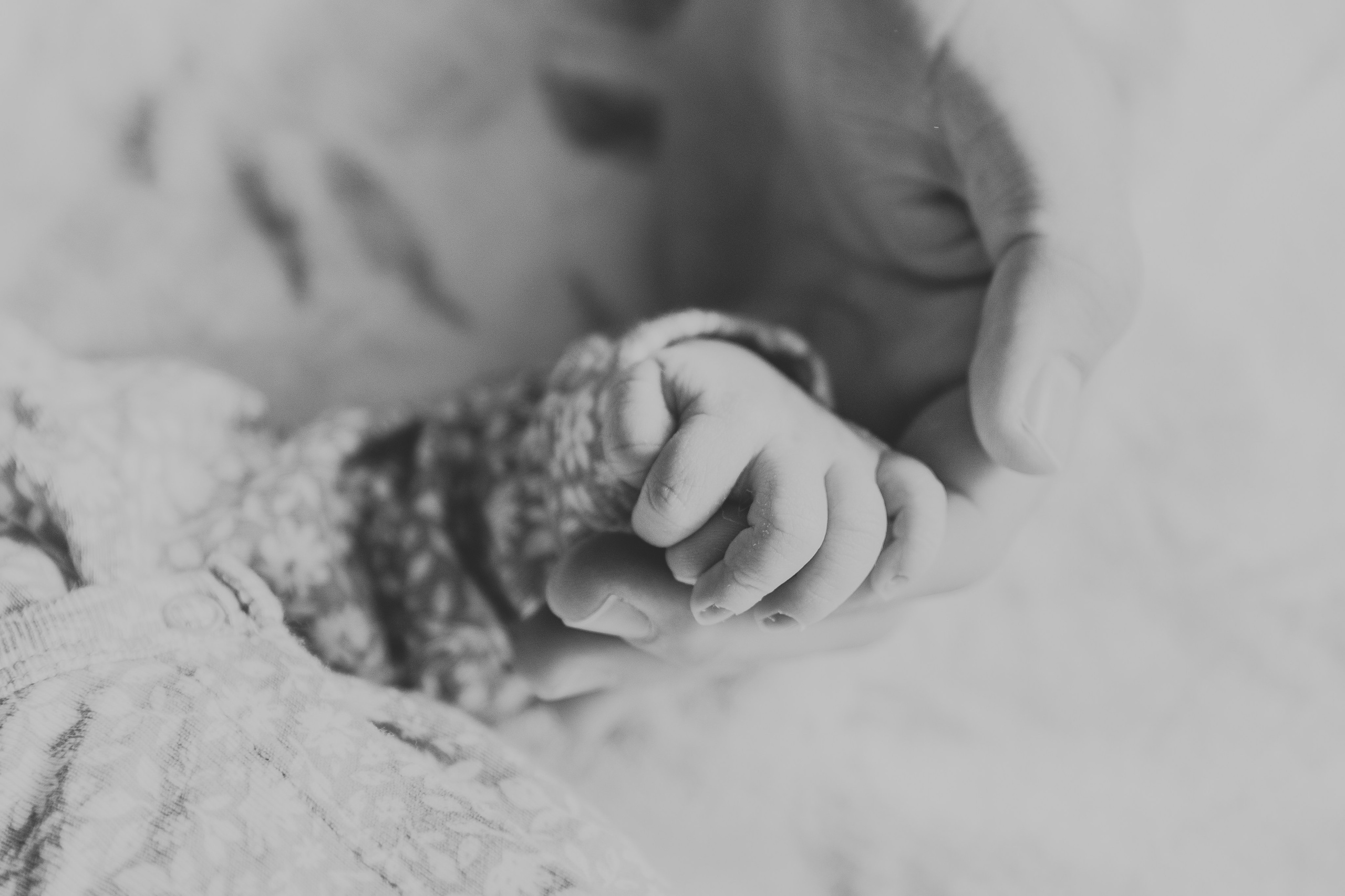 Newborn | In Home. Utah Family Photographer
