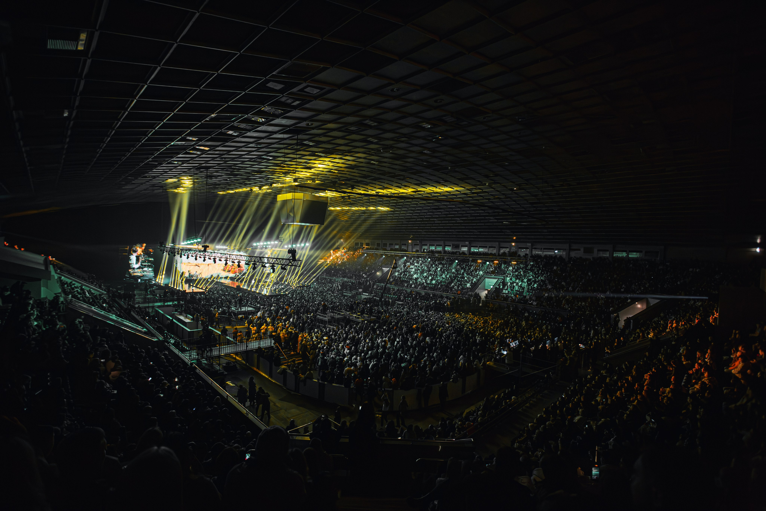 Antytila. Репортажний фотограф/анімаліст КИЇВ