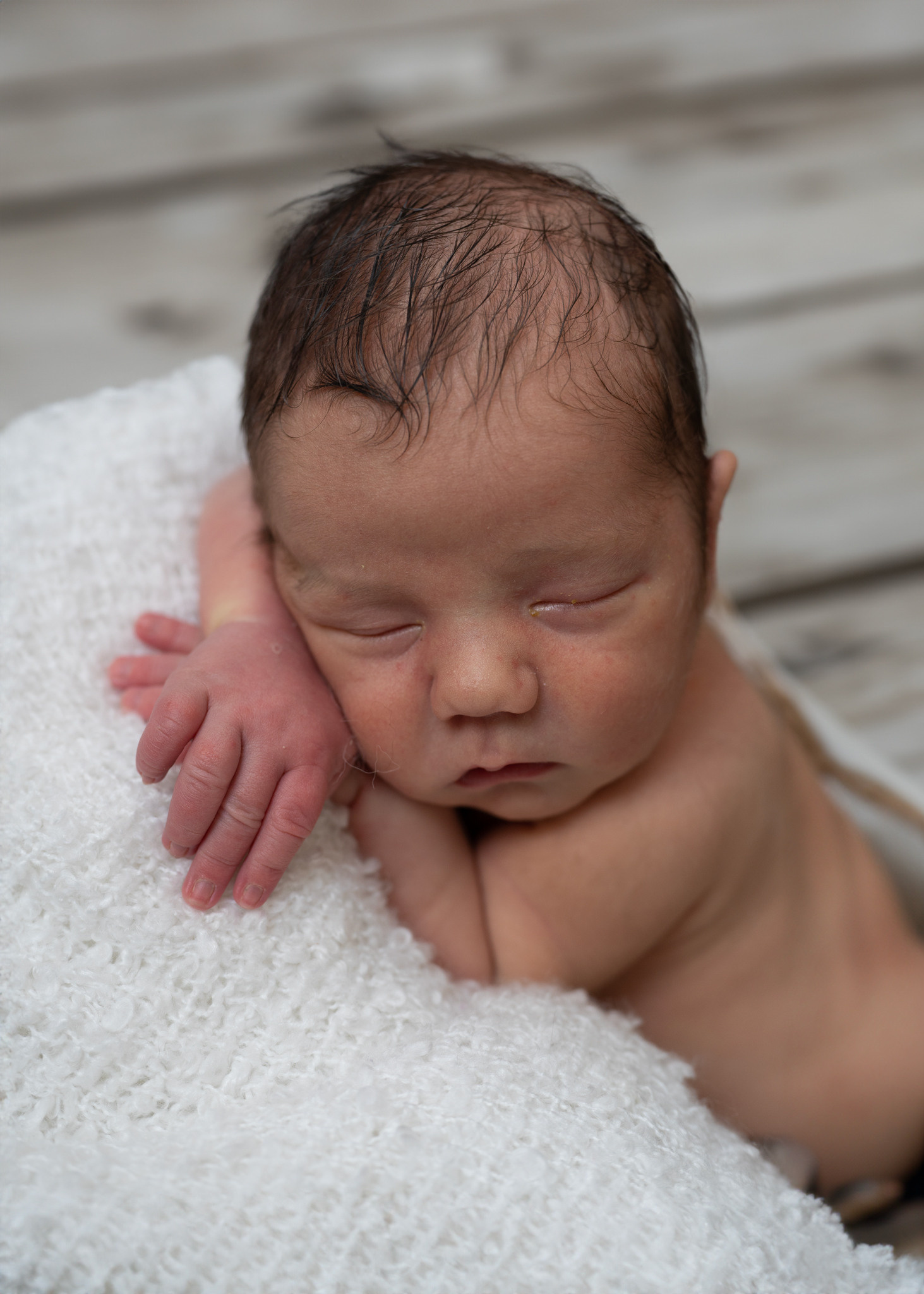 Leistungen und Preise. Tierfotografie und Familienfotografie in der Hallertau