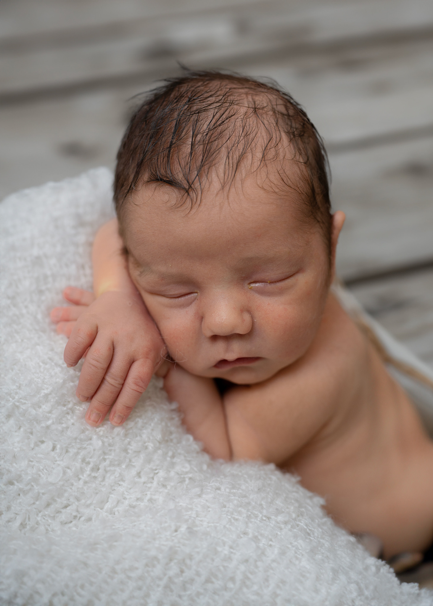Leistungen und Preise. Tierfotografie und Familienfotografie in der Hallertau