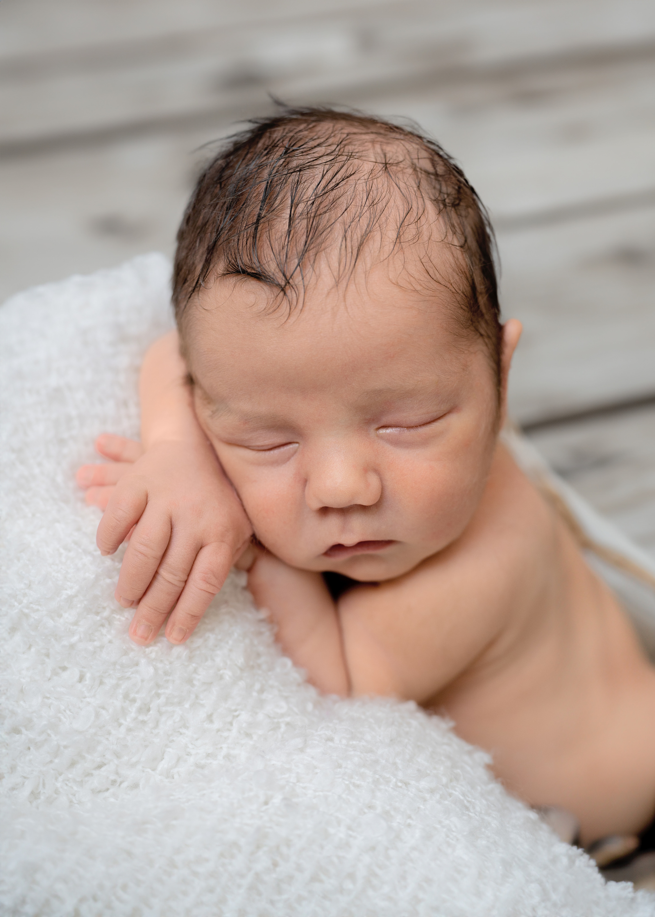 Leistungen und Preise. Tierfotografie und Familienfotografie in der Hallertau