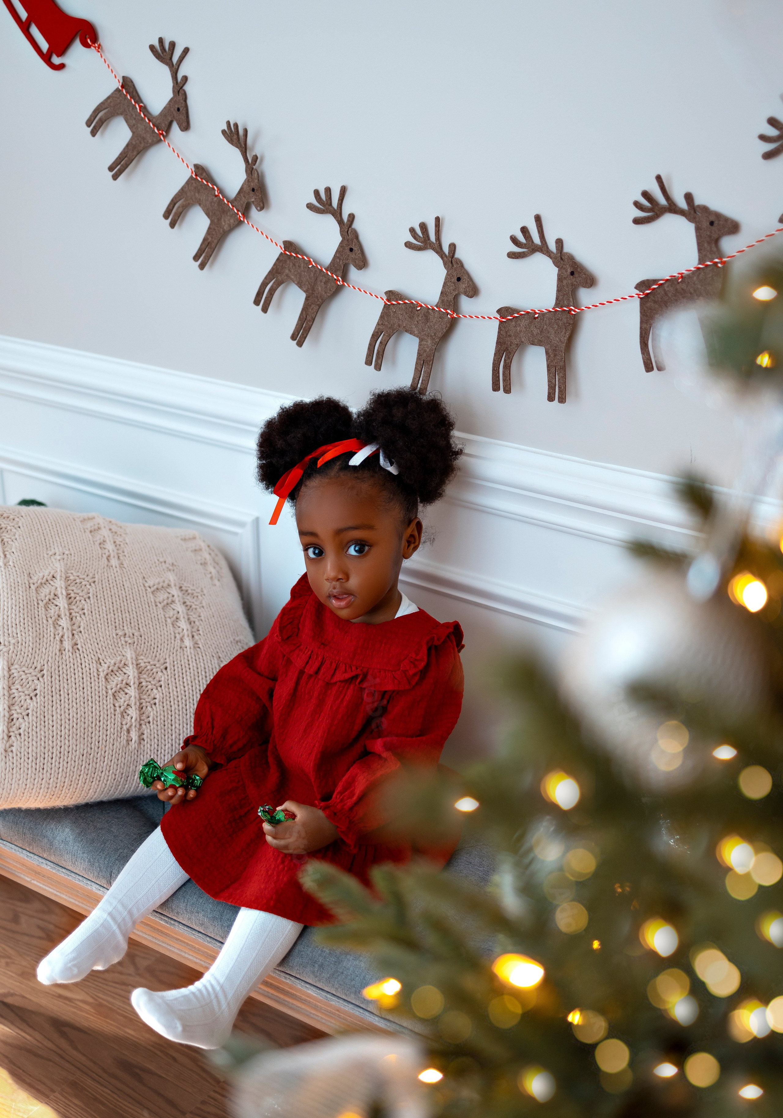 Christmas. Anaeliseevaphoto.com