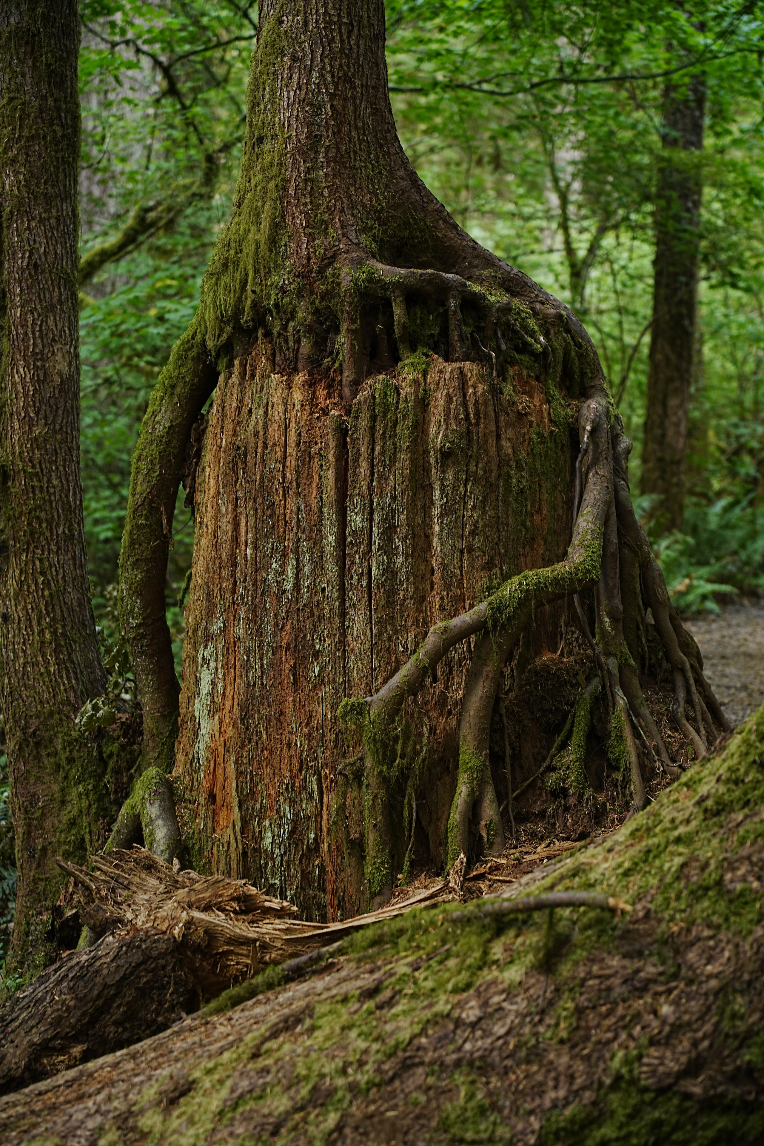 Photographer New York / Los Angeles
