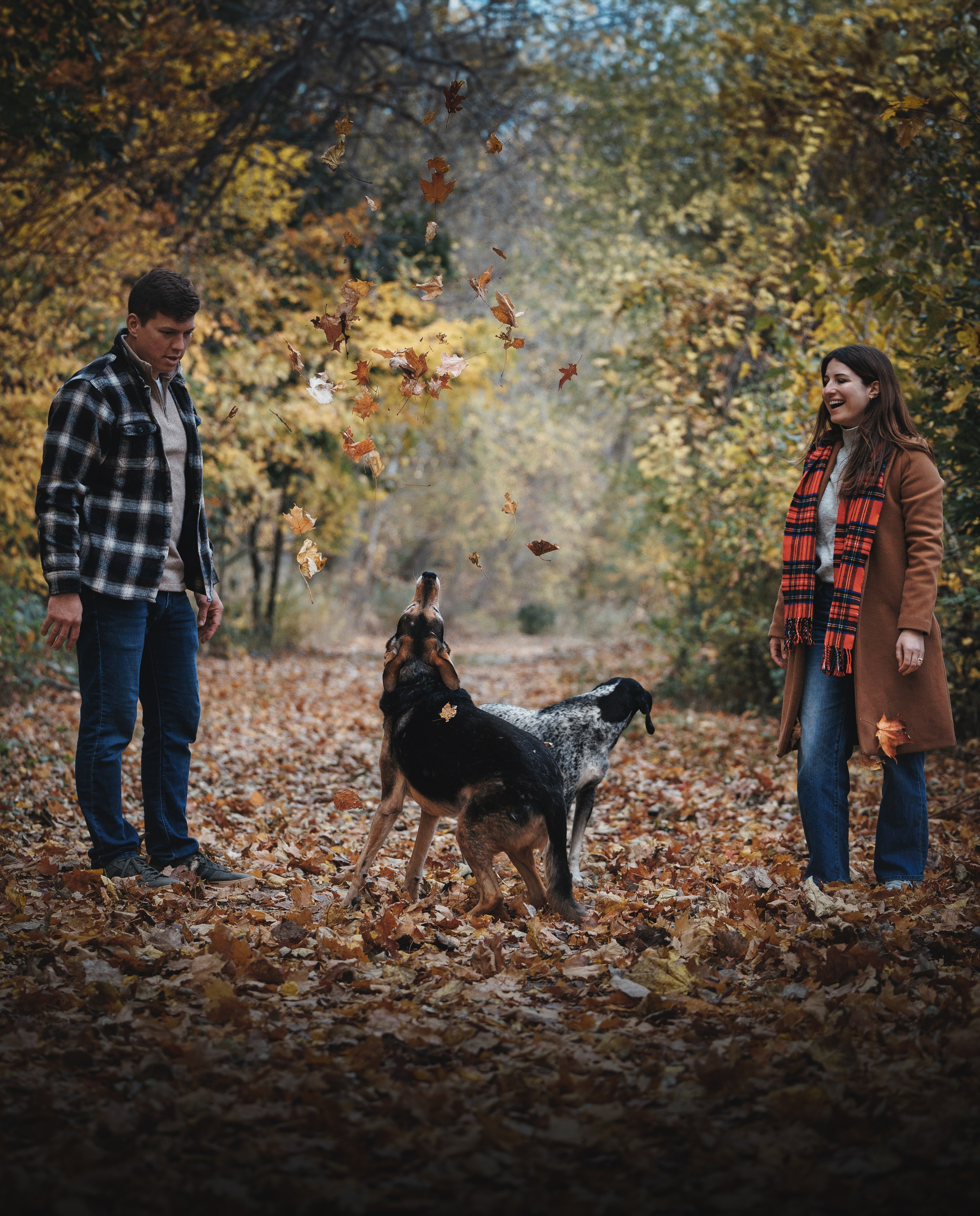 Racer & Delly. Pet Photographer Viktoriya Aleshenko