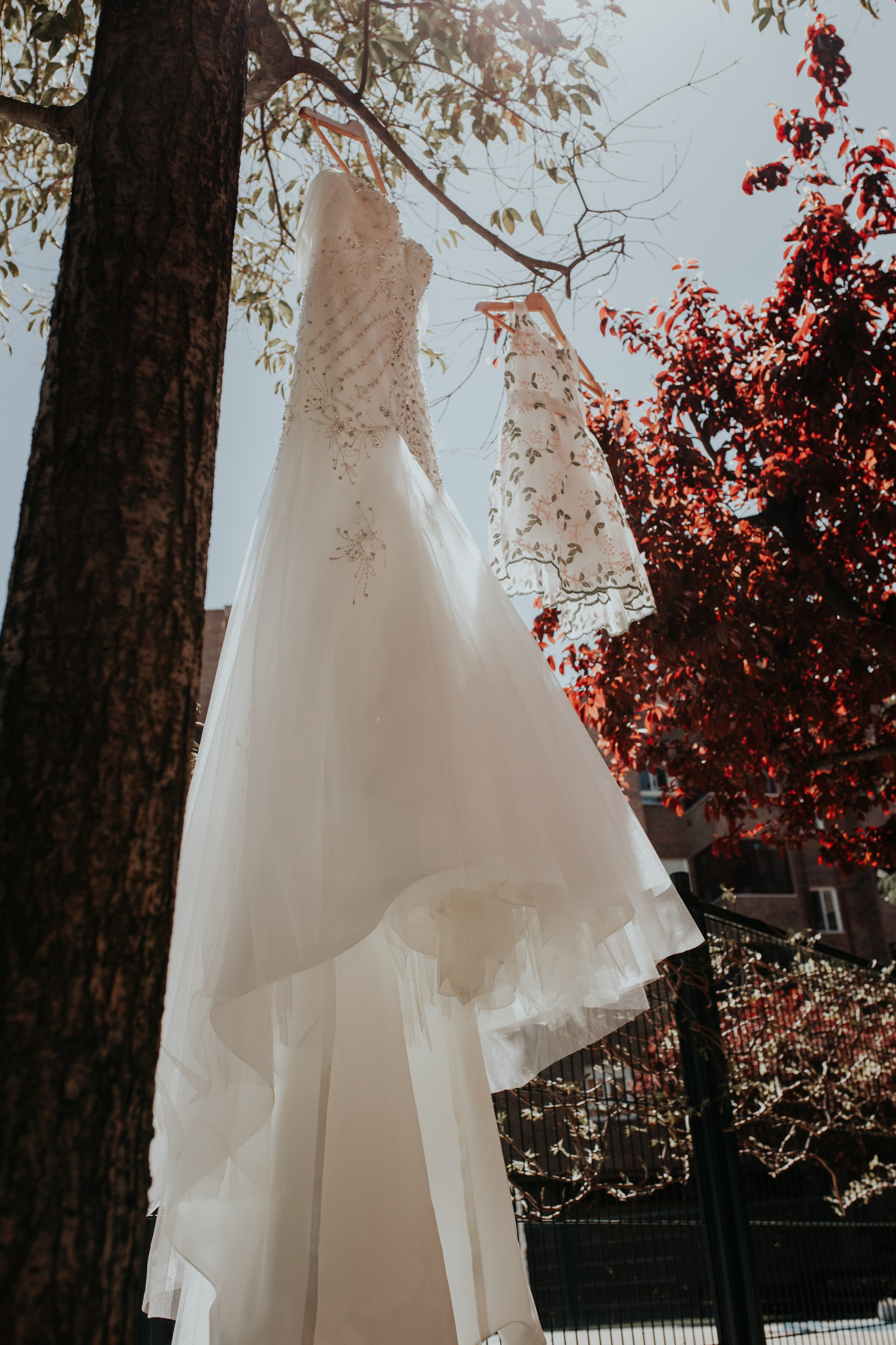 Fotografía de Bodas en Madrid - Rainbox: Capturamos Tu Amor con Pasión. Rainbox Estudio de Fotografía